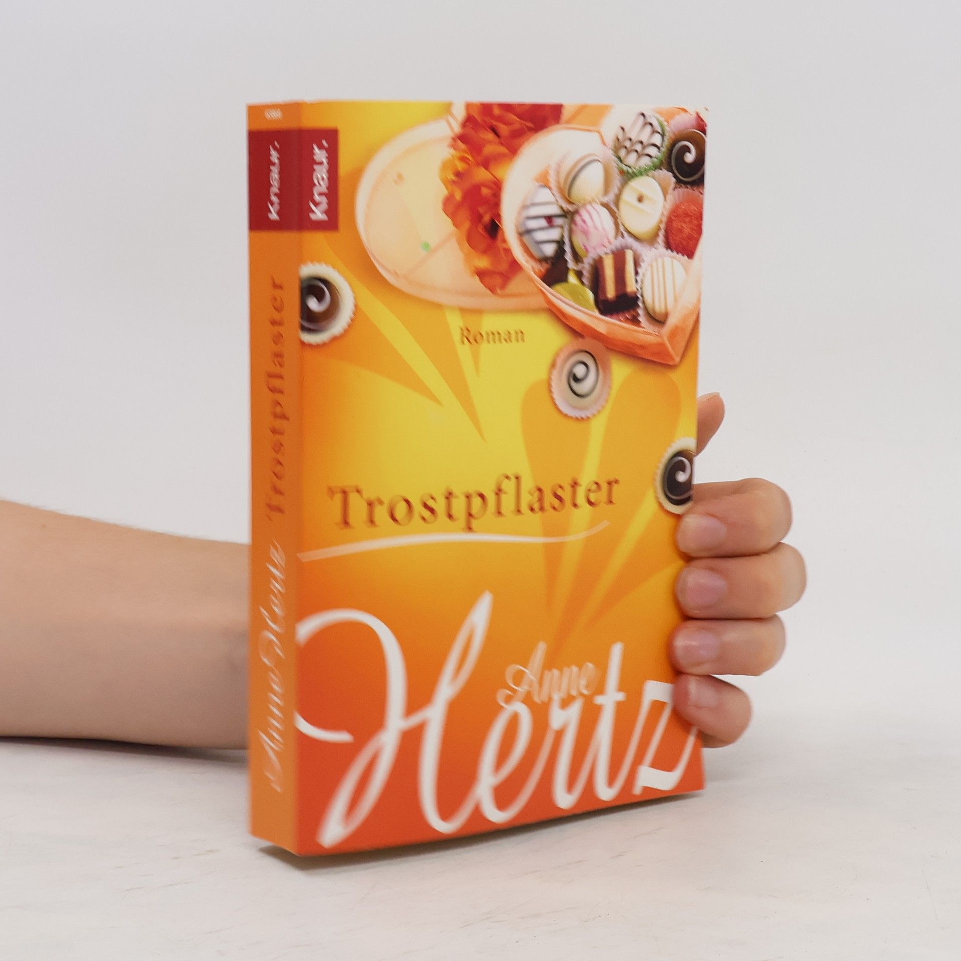 Anne Hertz Trostpflaster