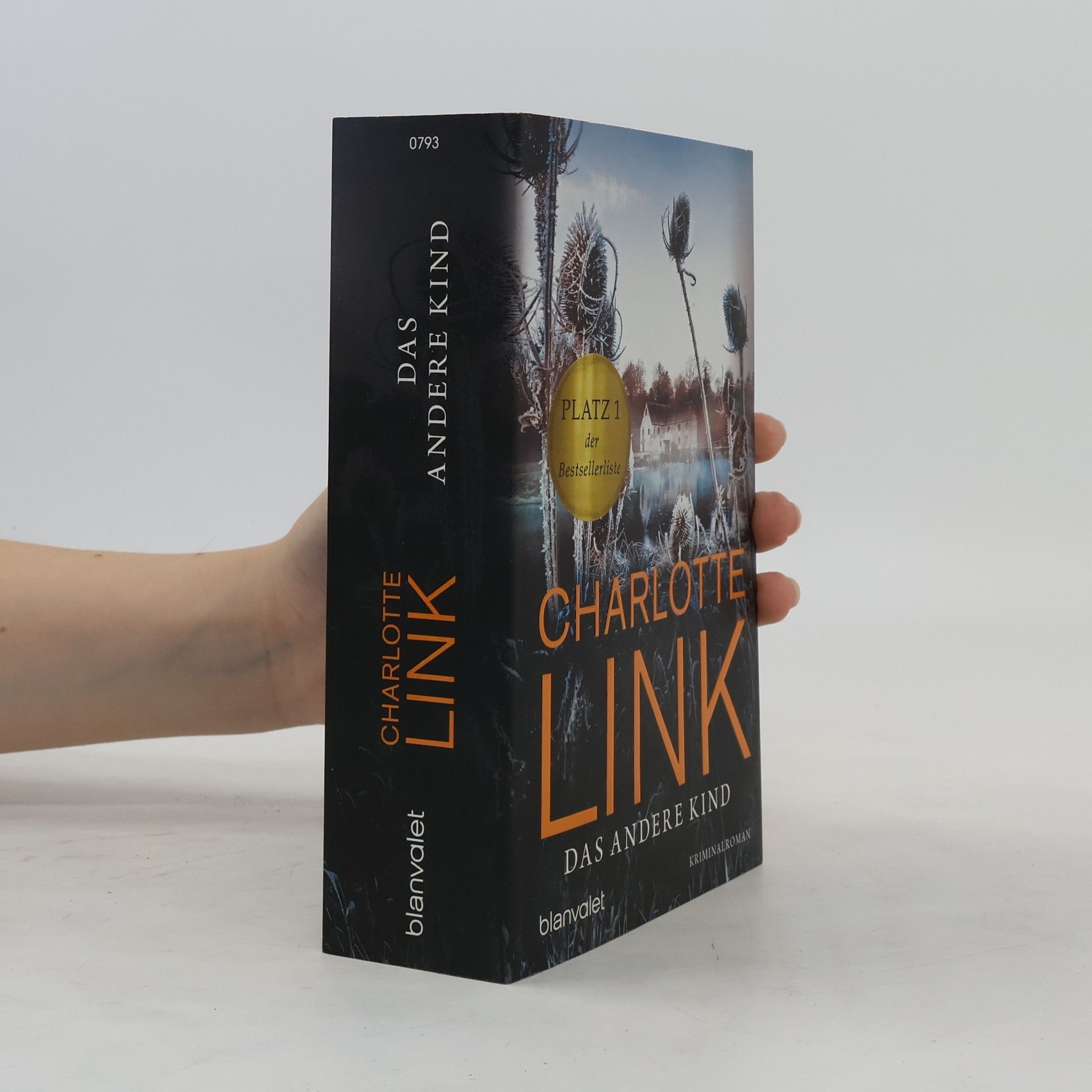 Charlotte Link Das andere Kind