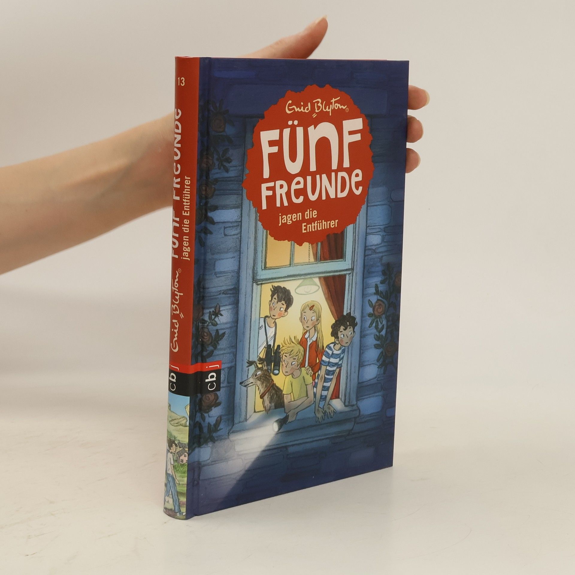 Enid Blyton Fünf Freunde jagen die Entführer