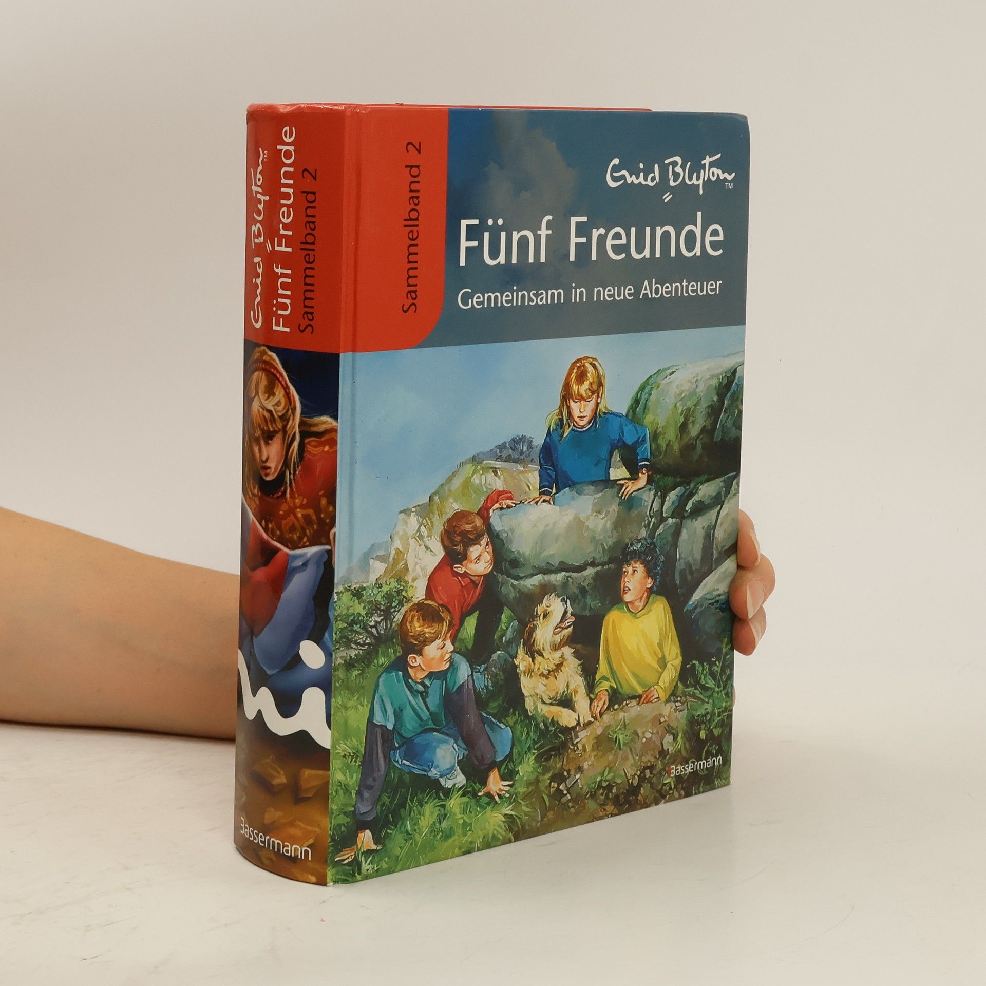 Werner Lincke Fünf Freunde