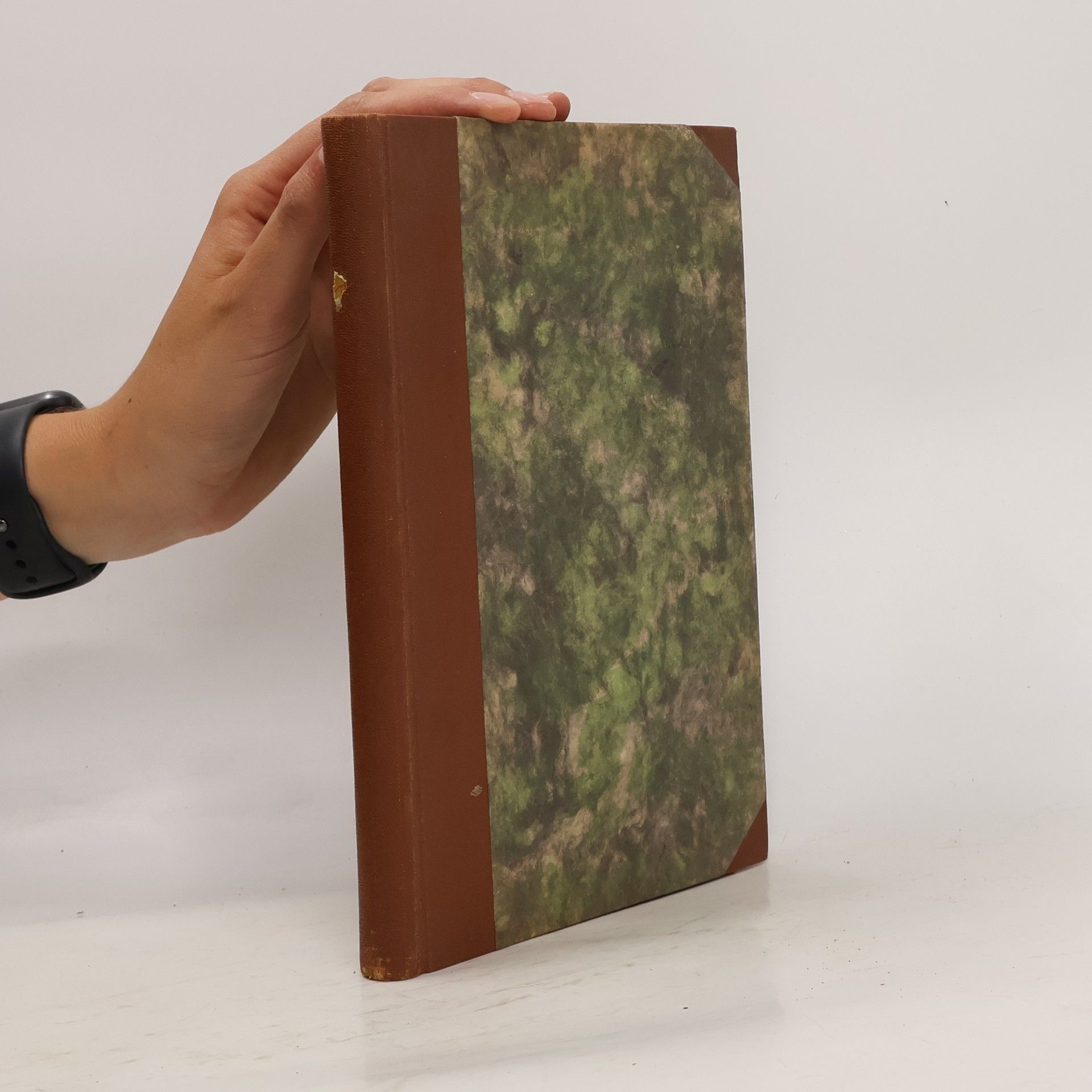 Anna Vavřínová Jeanne d'Arc