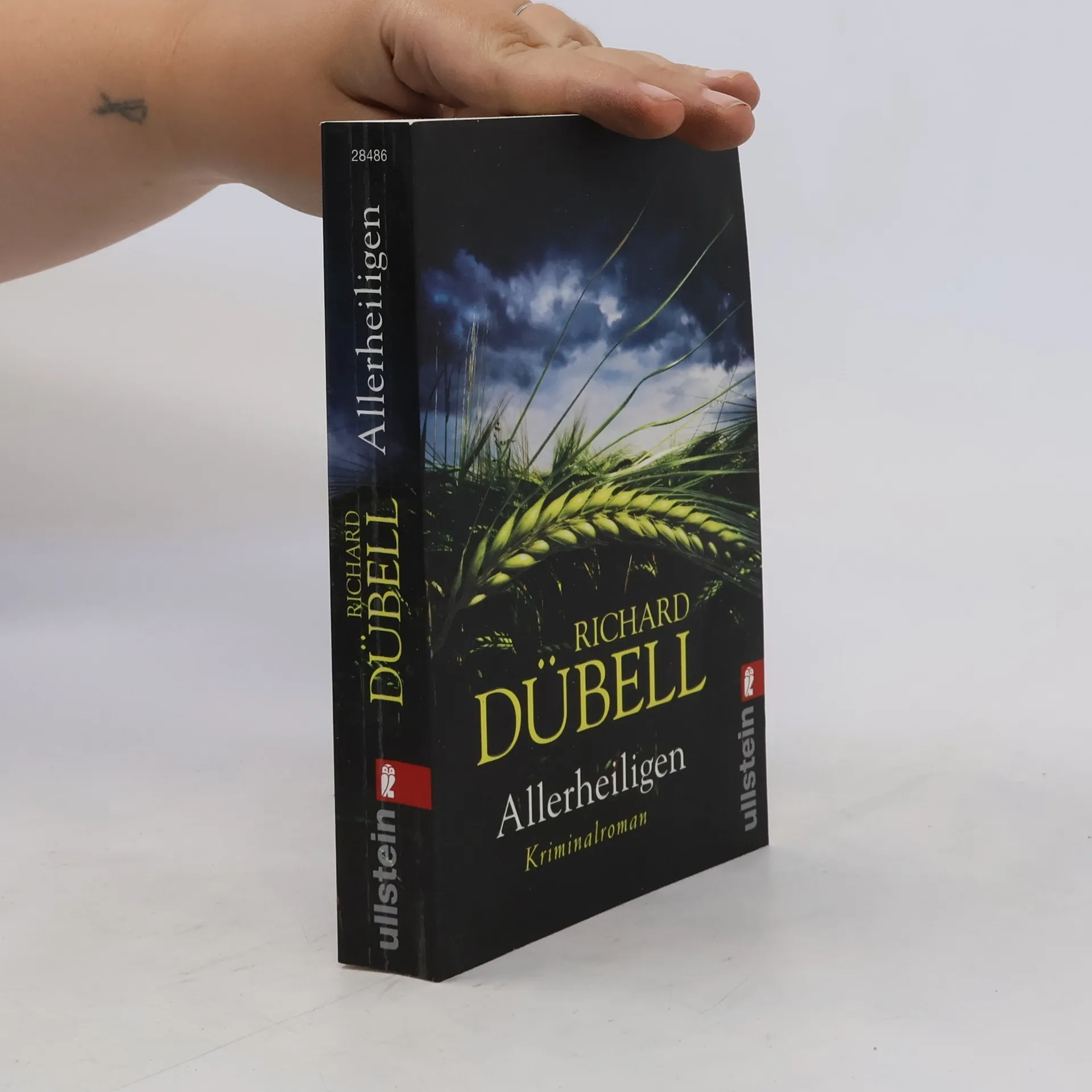 Allerheiligen | Richard Dübell | German | Book