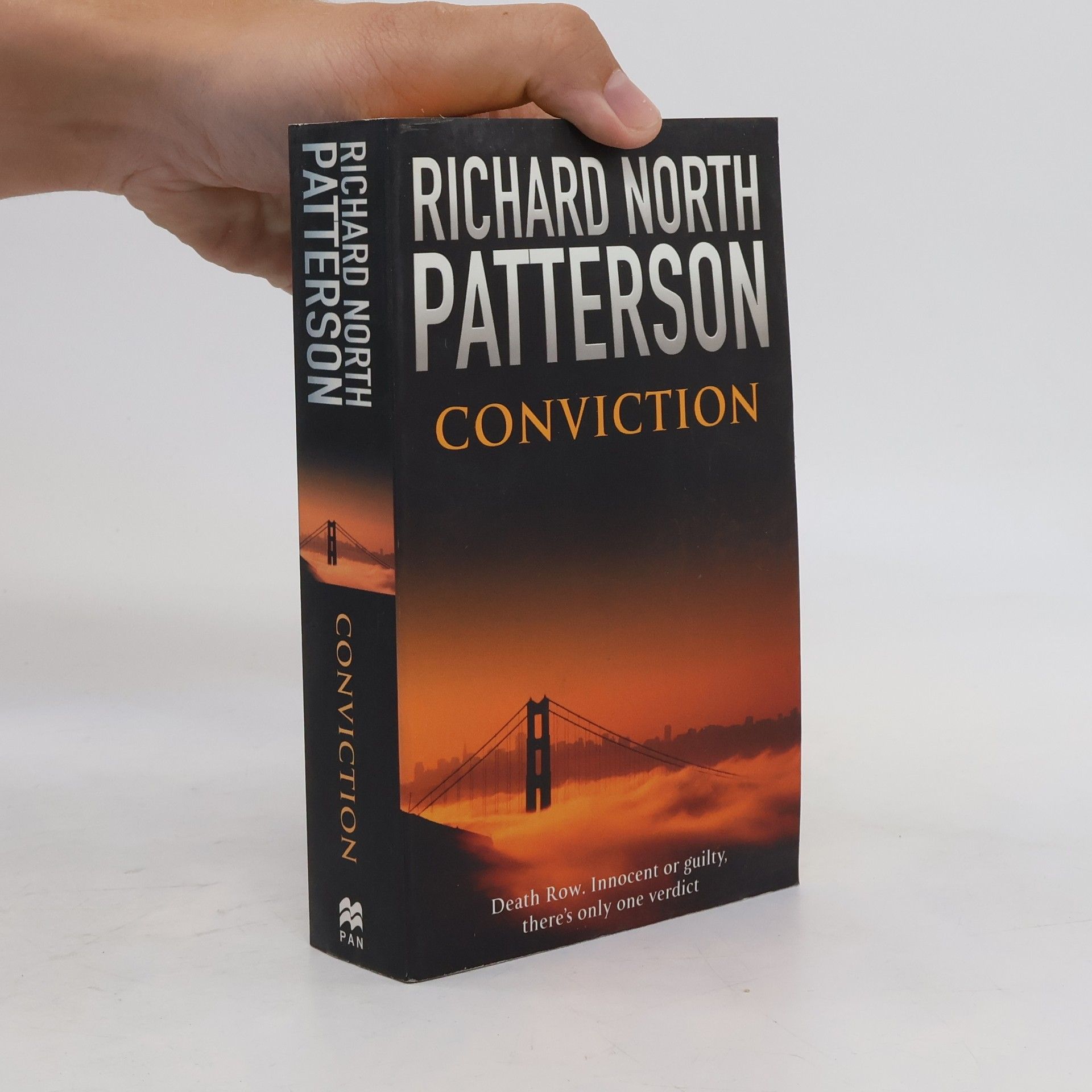 Richard North Patterson Conviction