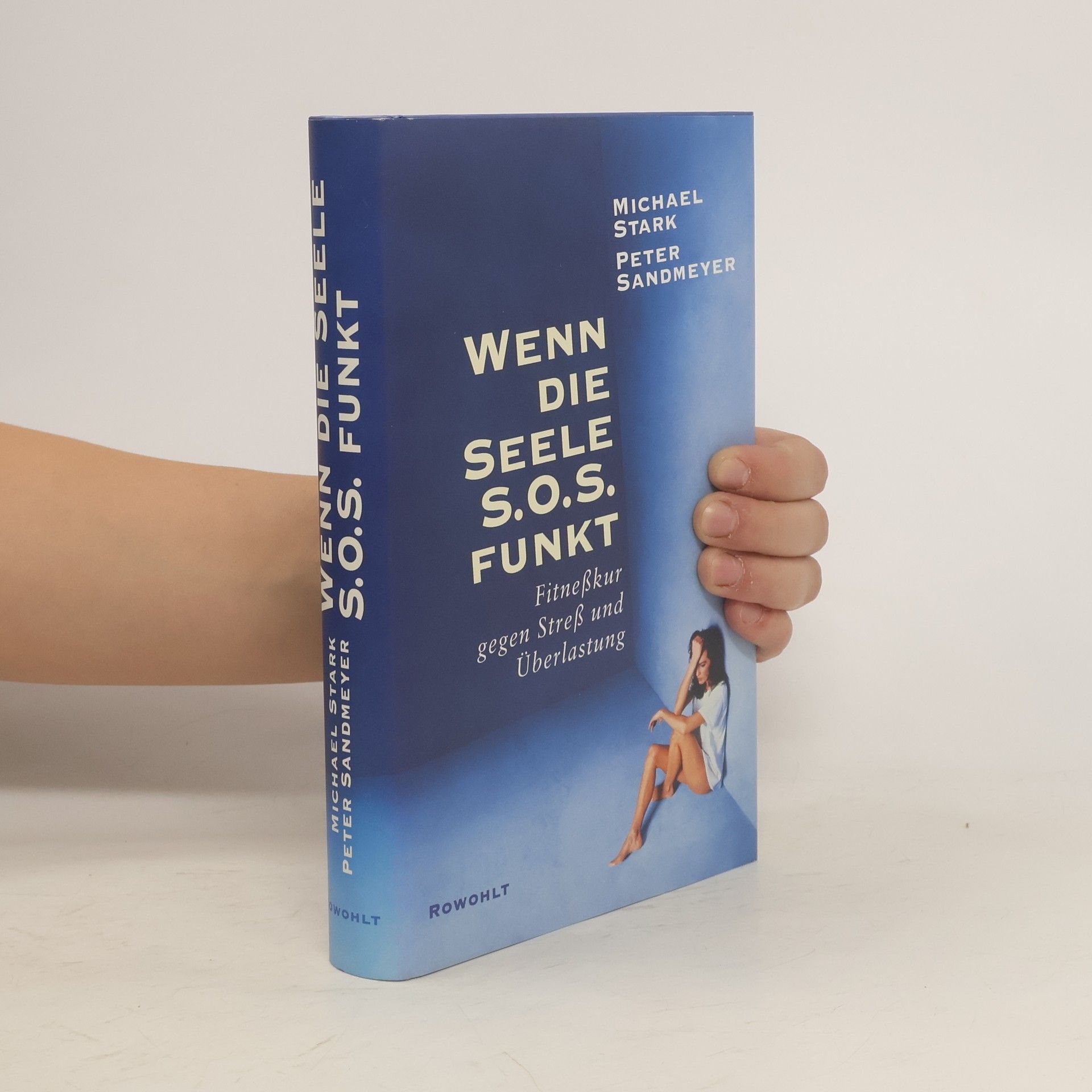 Fritz Michael Stark Wenn die Seele S.O.S funkt
