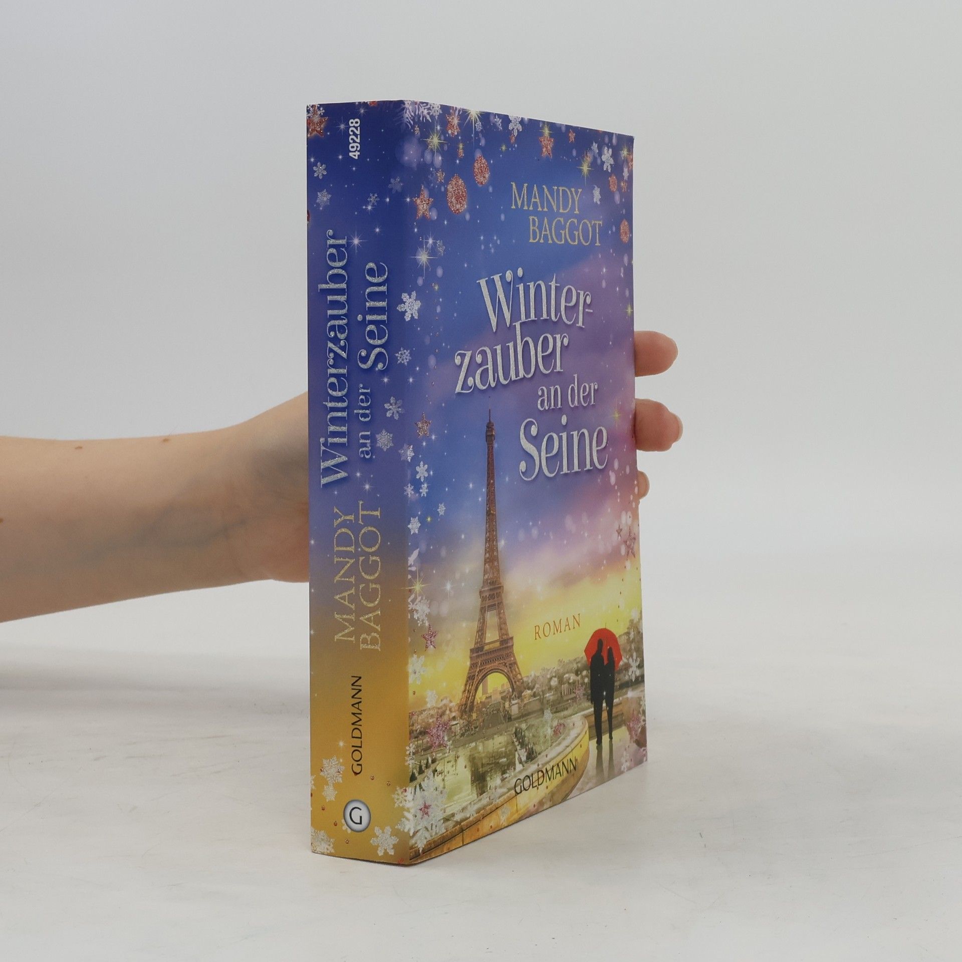 Mandy Baggot Winterzauber an der Seine
