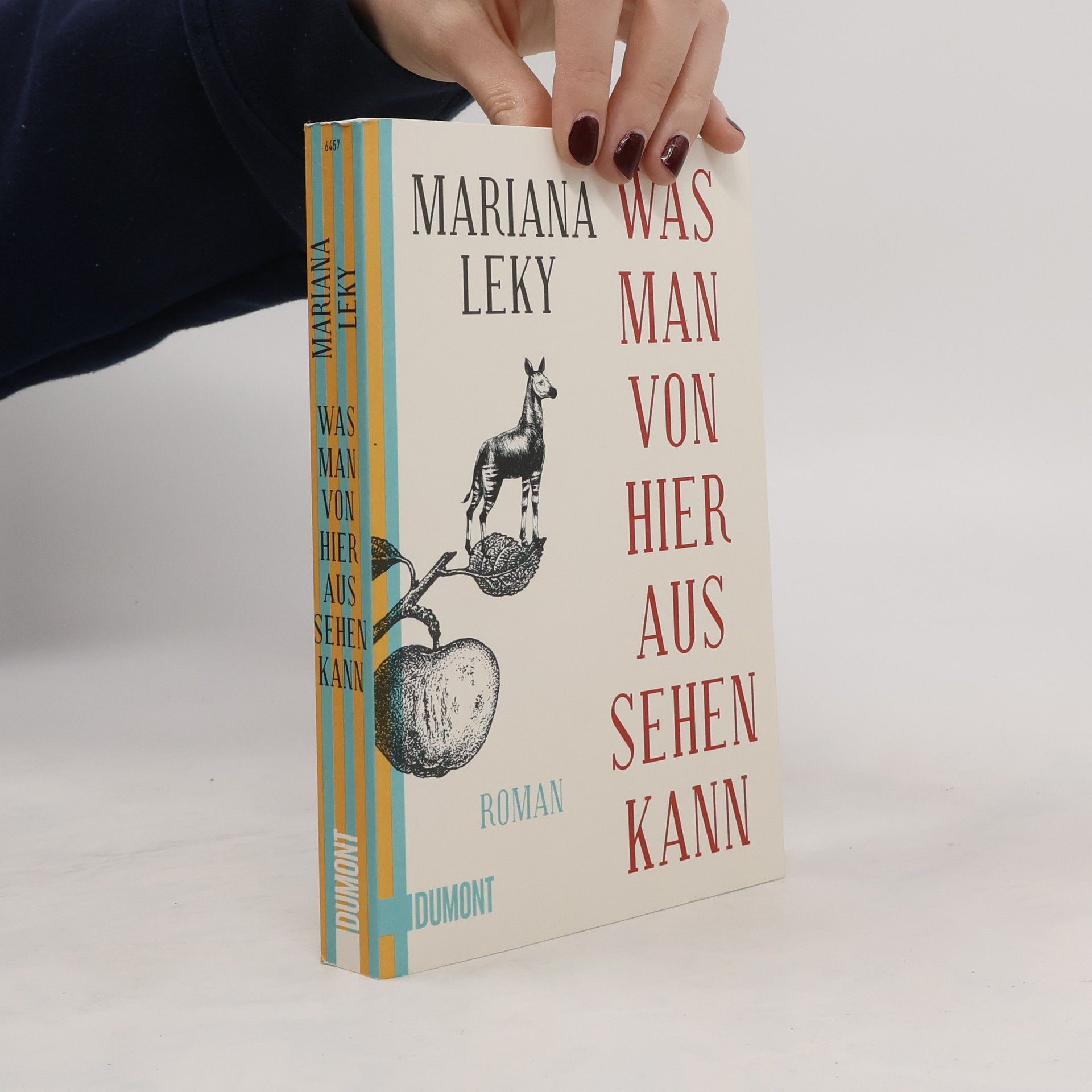 Mariana Leky Was man von hier aus sehen kann