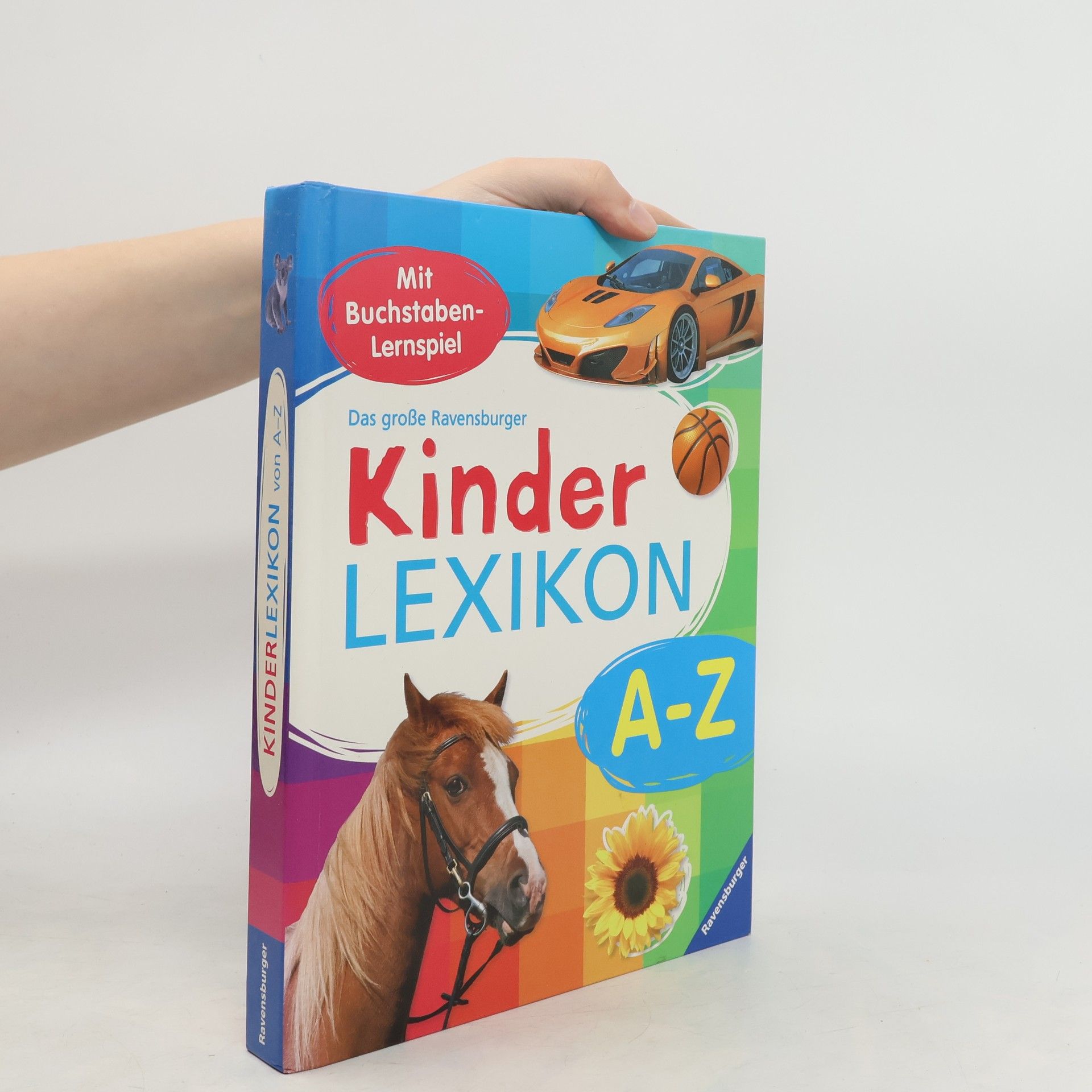 Christina Braun Das große Ravensburger Kinderlexikon