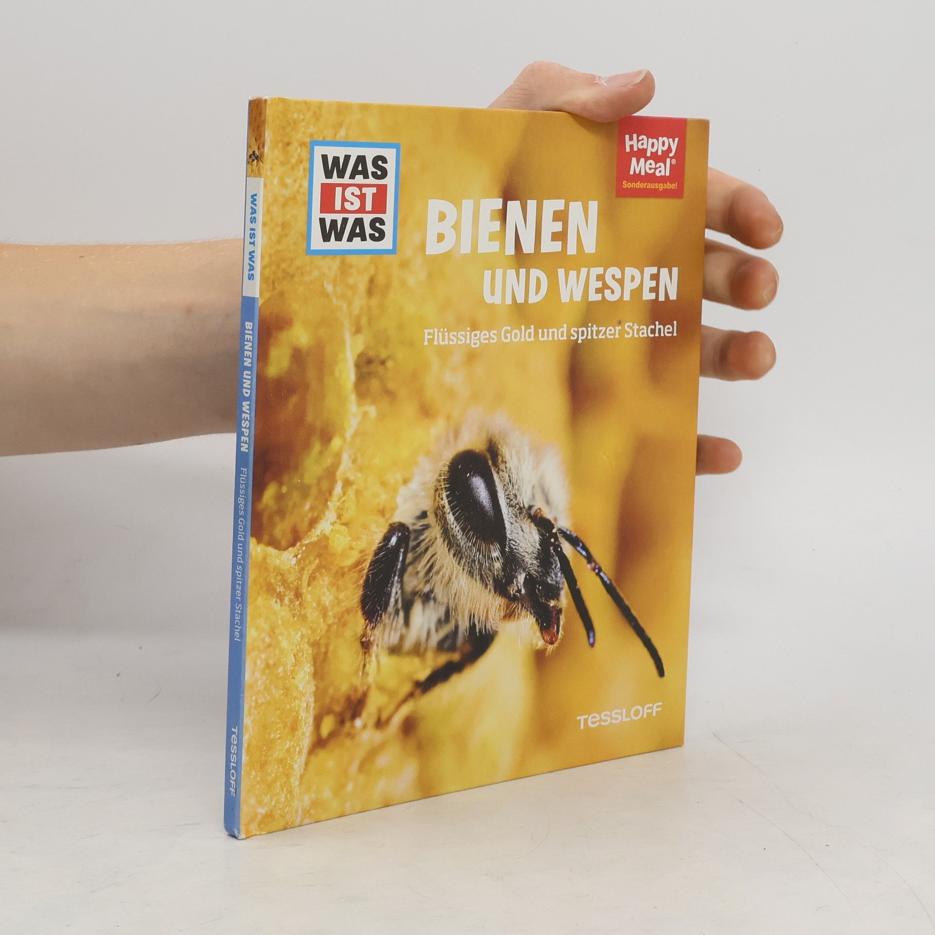 Autorenkollektiv Bienen und Wespen