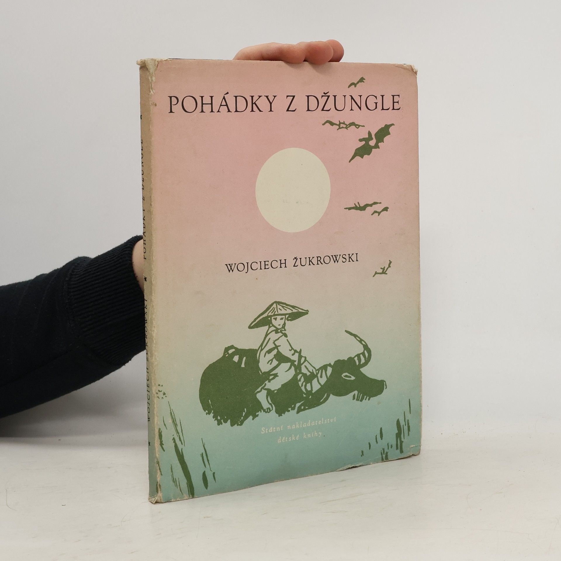 Žukrowski Wojciech Pohádky z džungle
