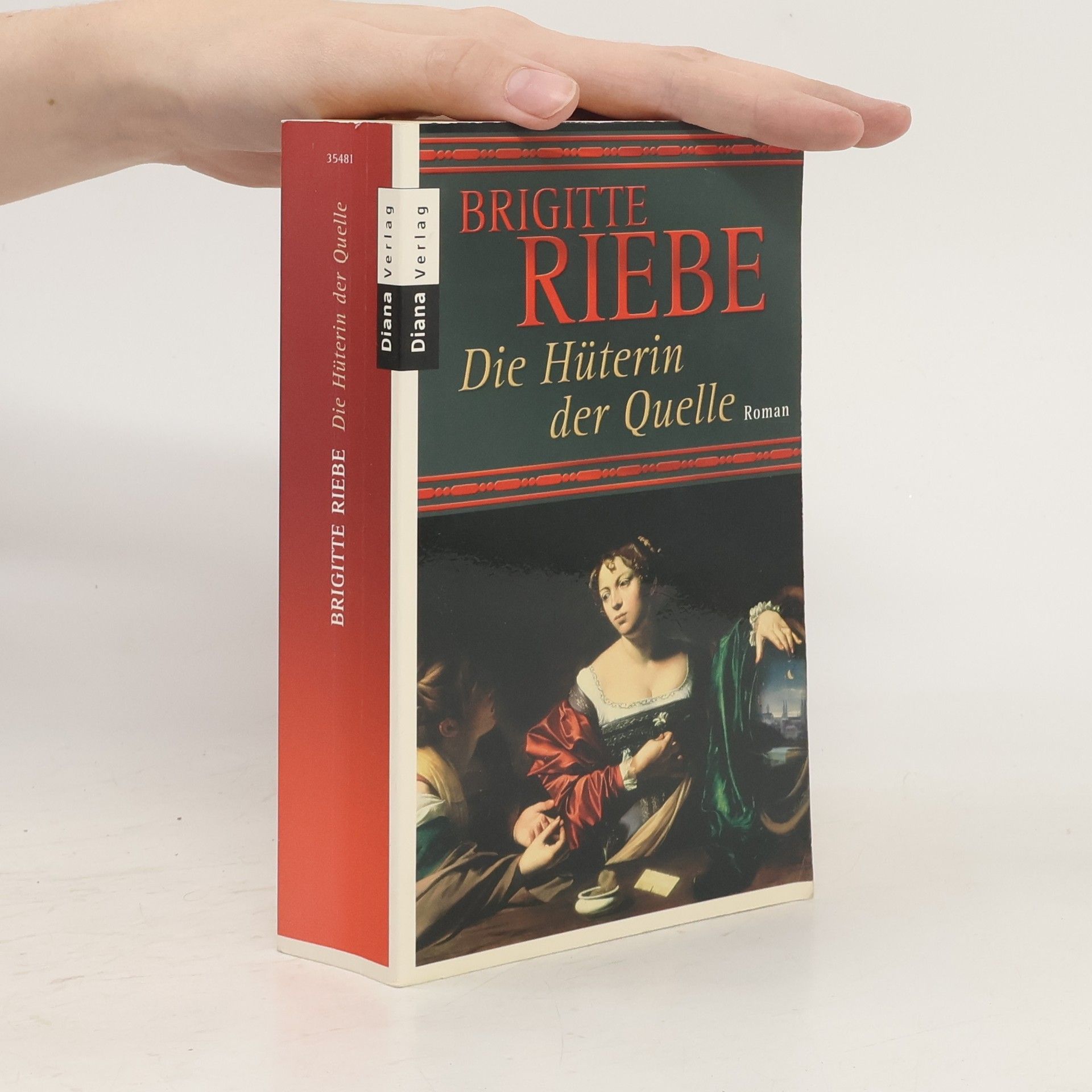 Brigitte Riebe Die Hüterin der Quelle
