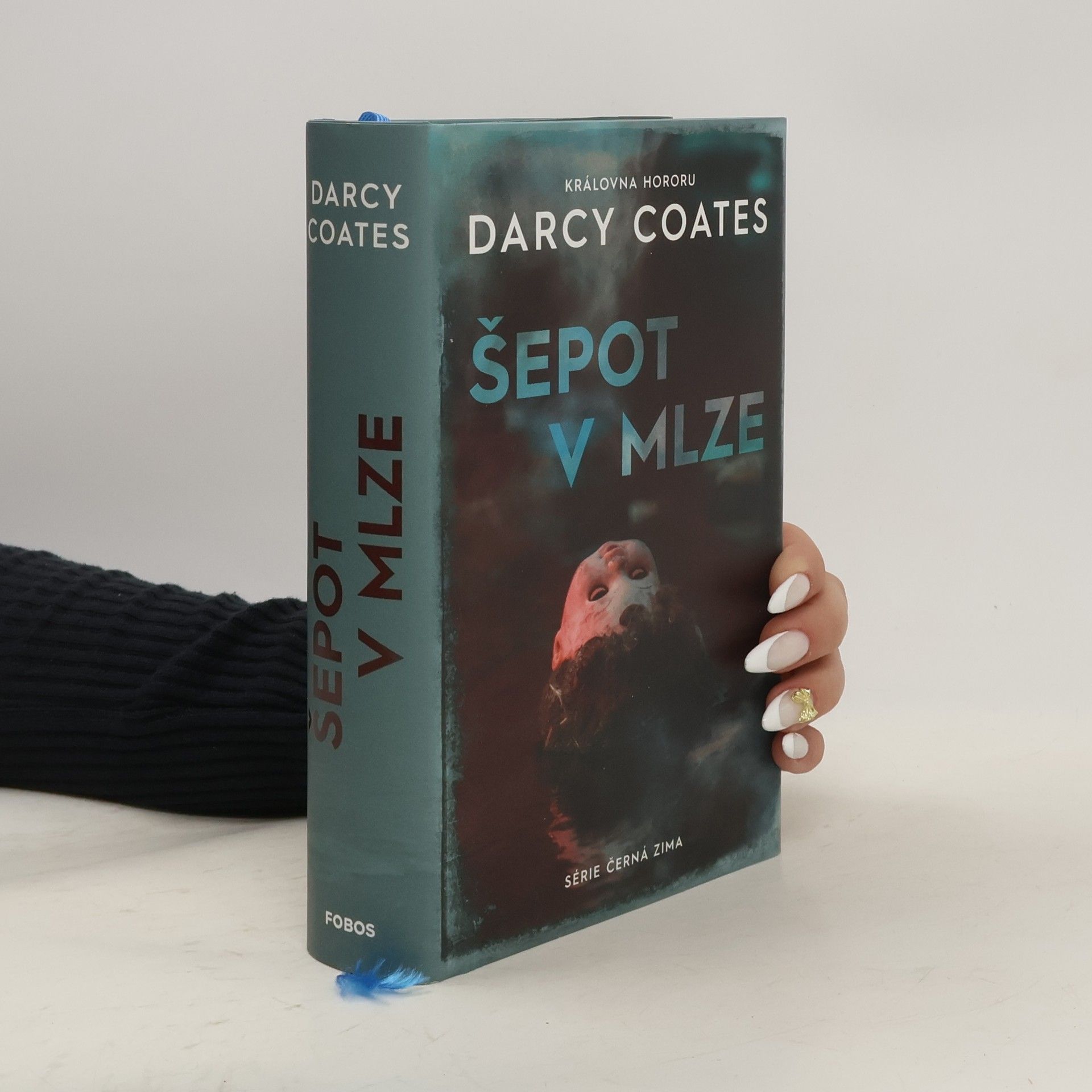 Darcy Coates Šepot v mlze