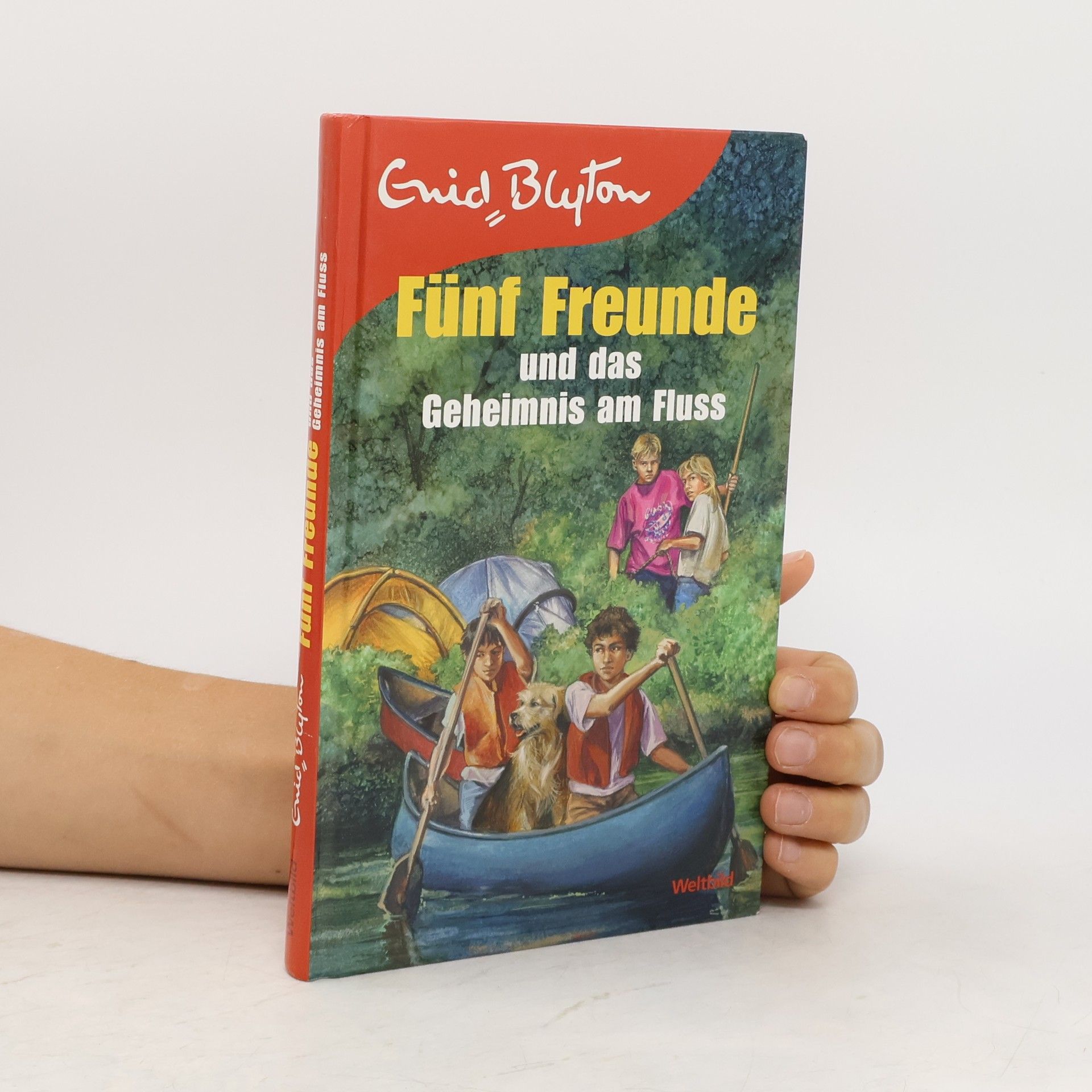 Enid Blyton Fünf Freunde und das Geheimnis am Fluss