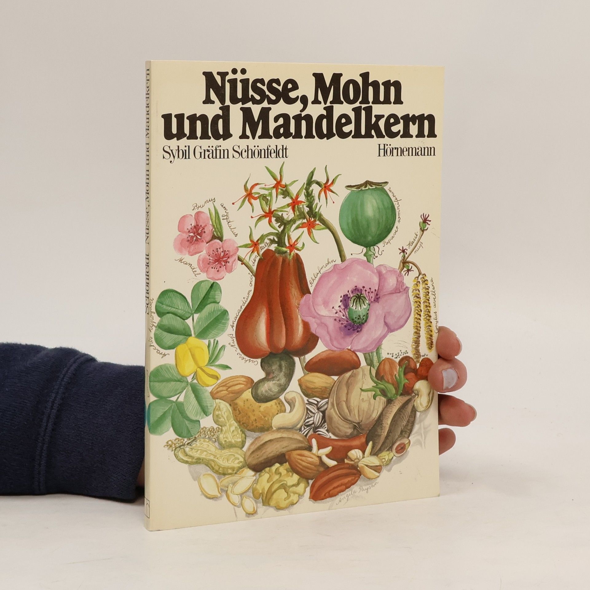 Sybil Gräfin Schönfeldt Nüsse, Mohn und Mandelkern