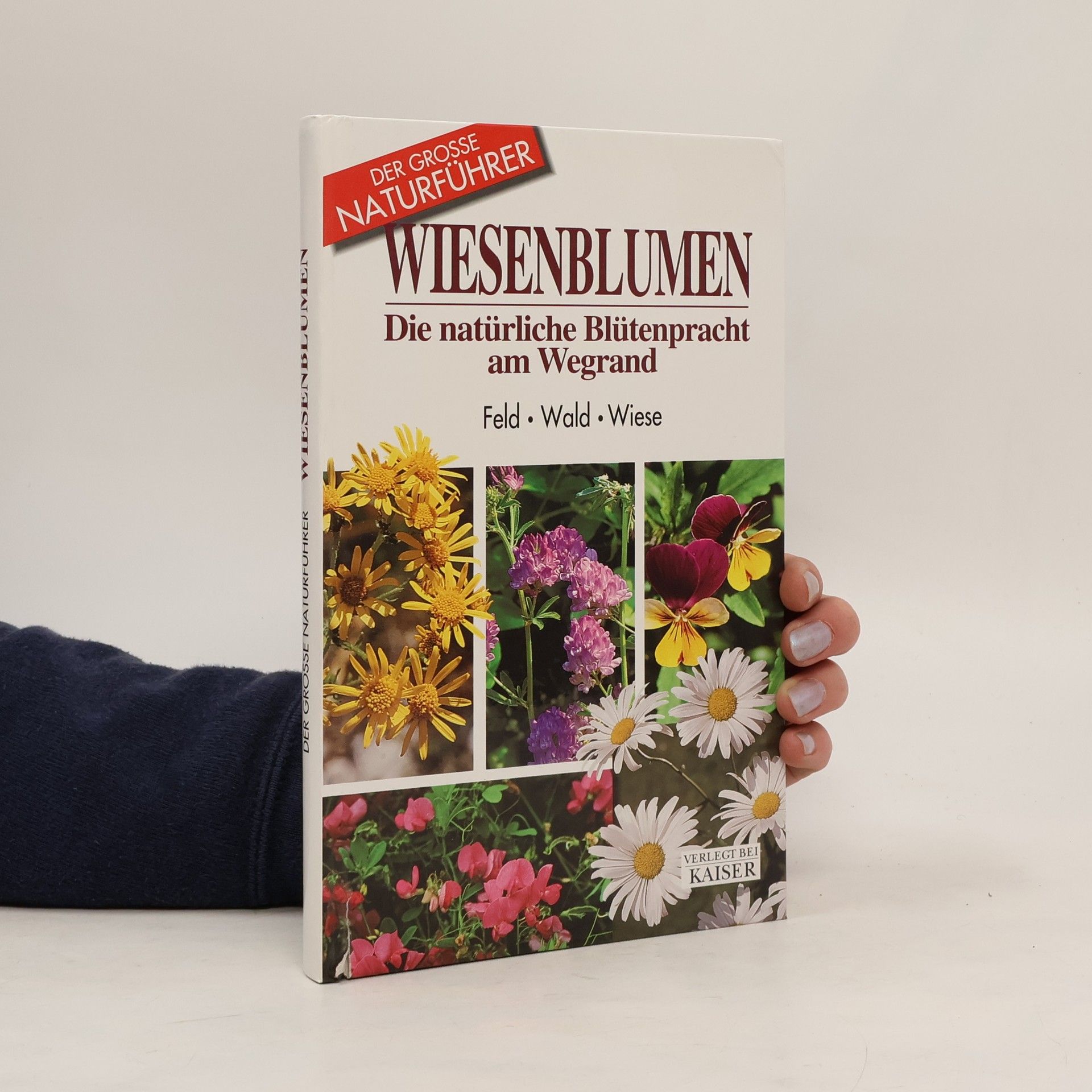 Maria Teresa Della Beffa Wiesenblumen