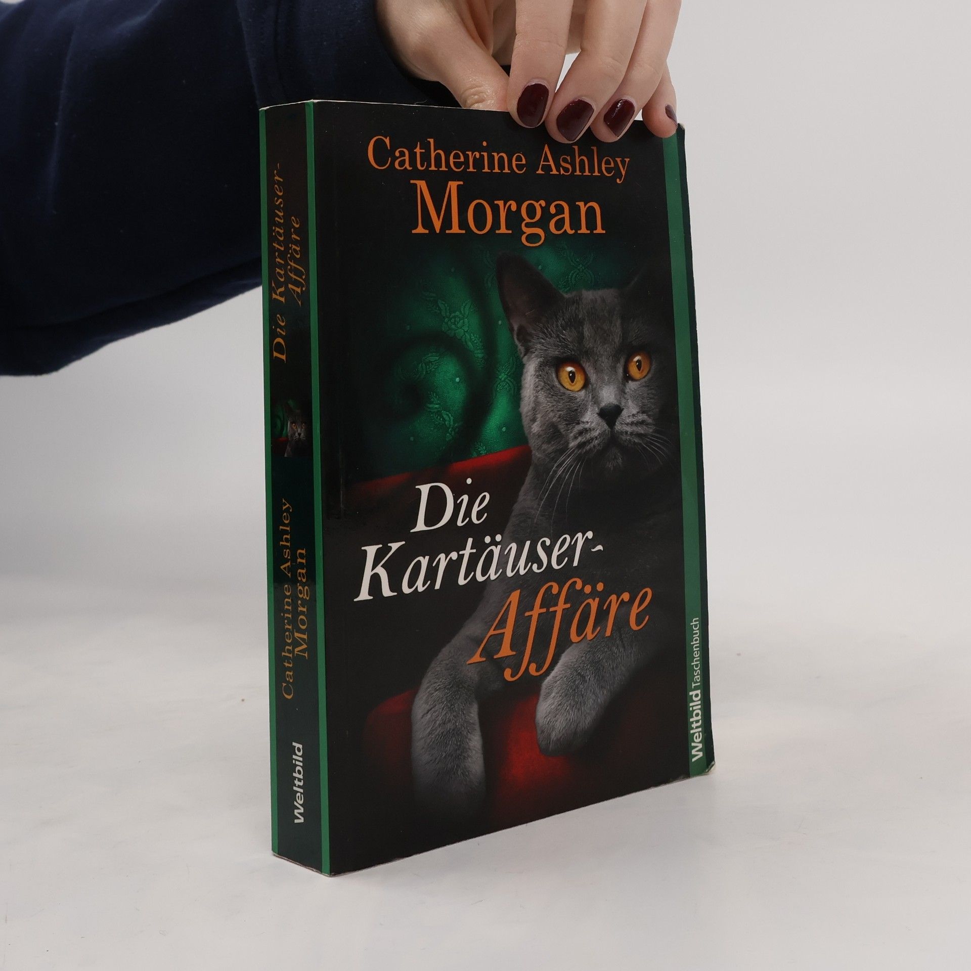 Catherine Ashley Morgan Die Kartäuser-Affäre