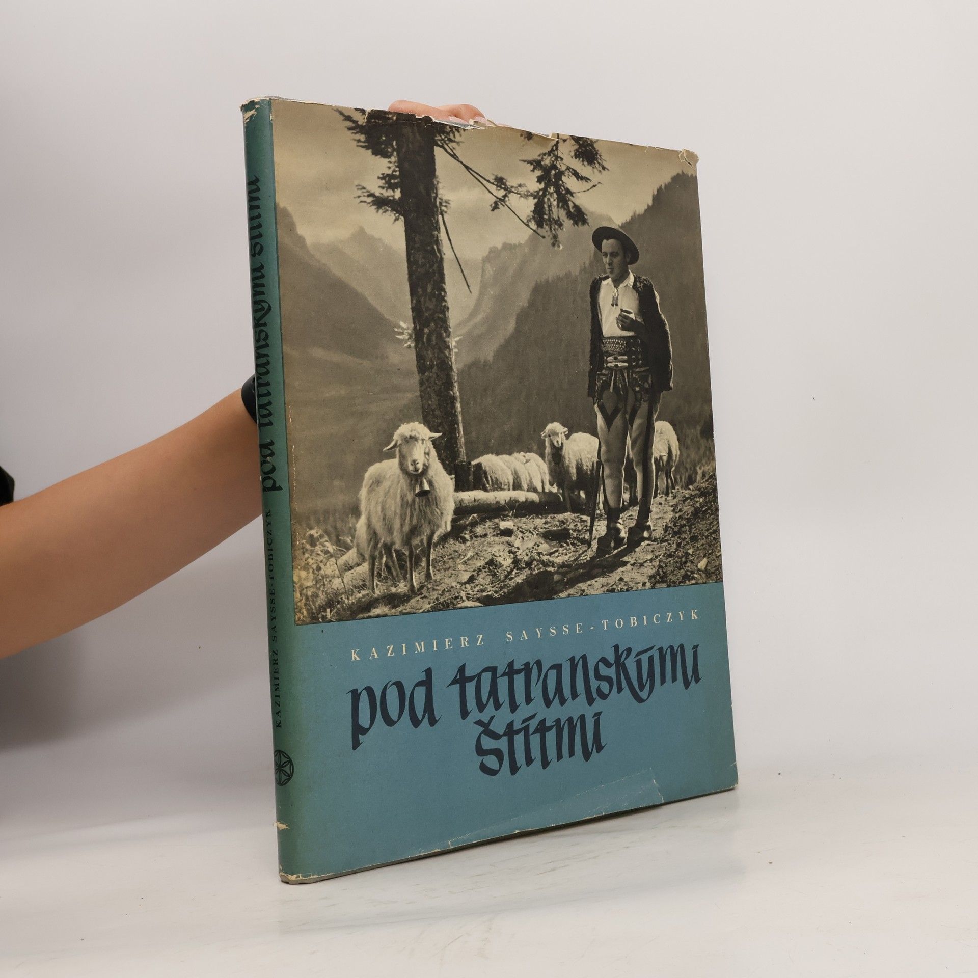 Kazimierz Saysse-Tobiczyk Pod tatranskými štítmi