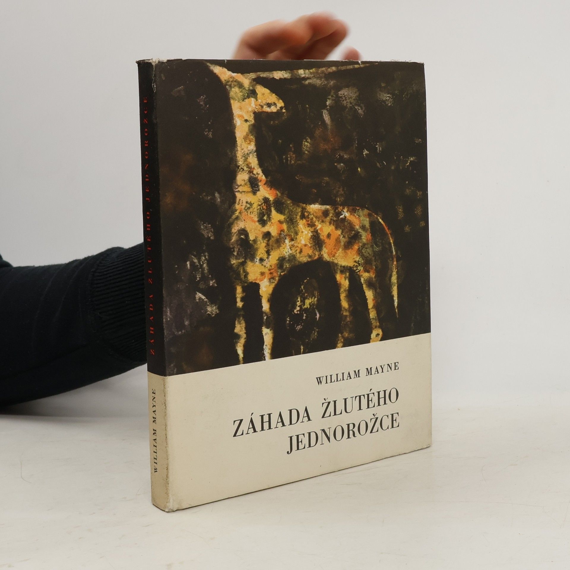 William Mayne Záhada žlutého jednorožce