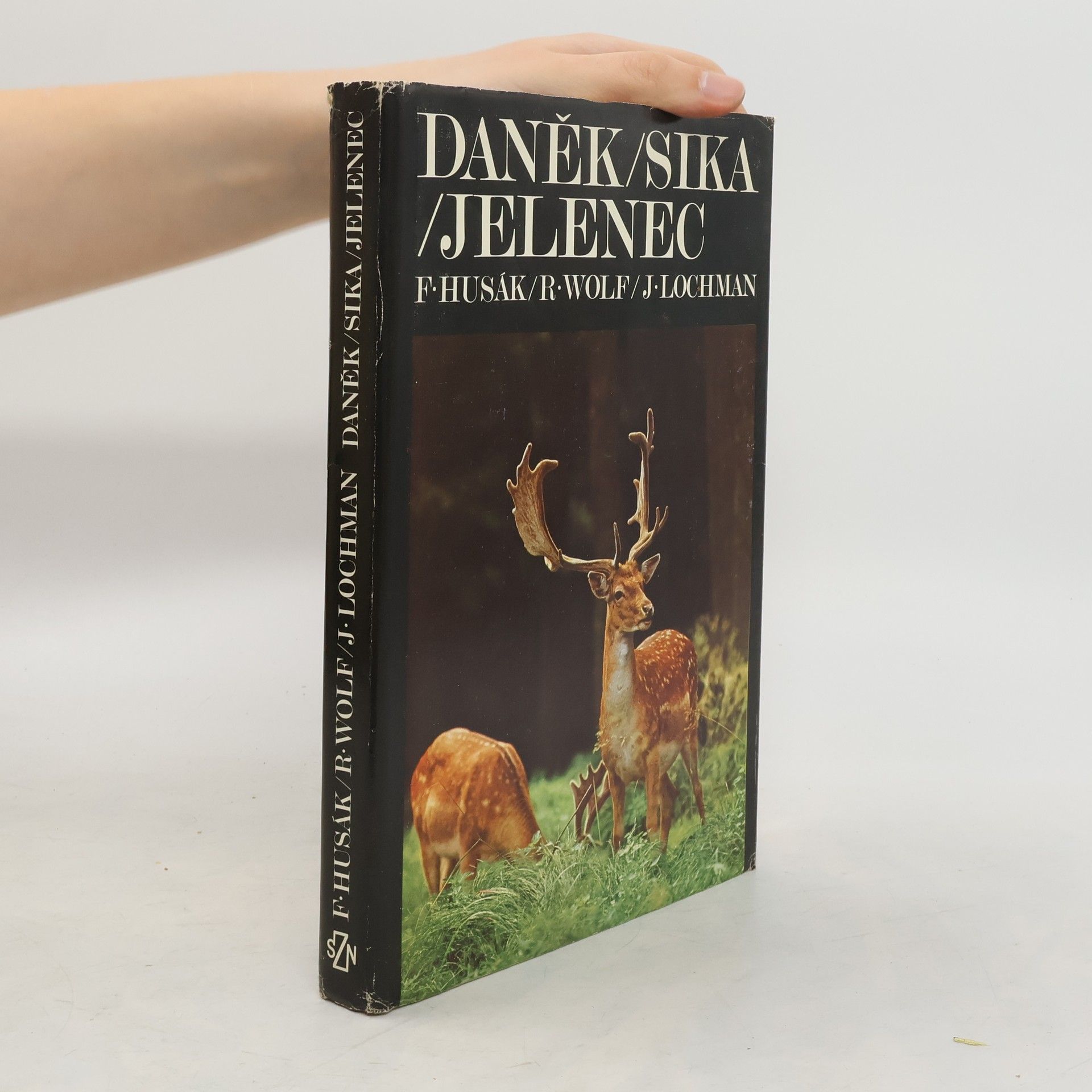 František Husák Daněk - sika - jelenec