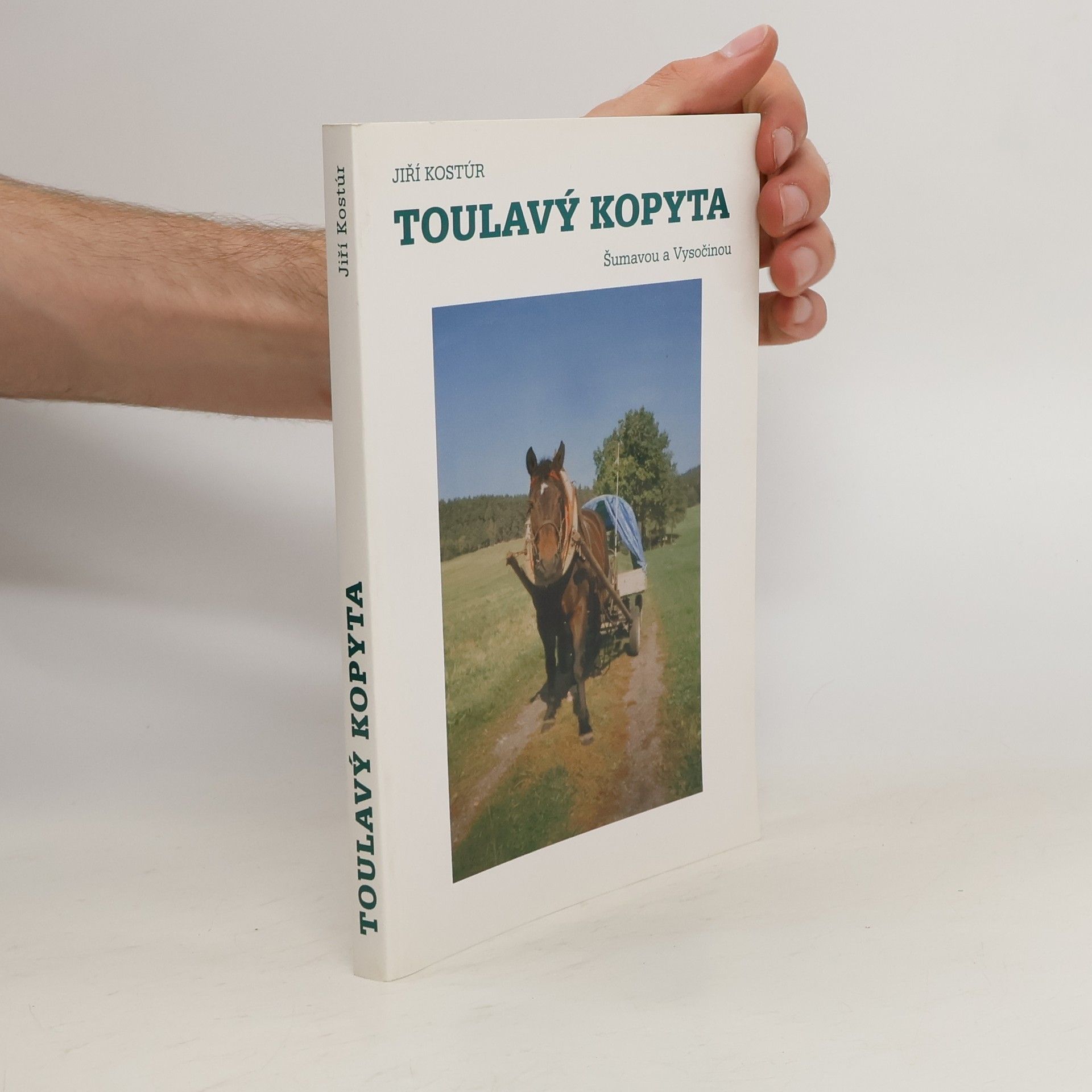 Jiří Kostúr Toulavý kopyta