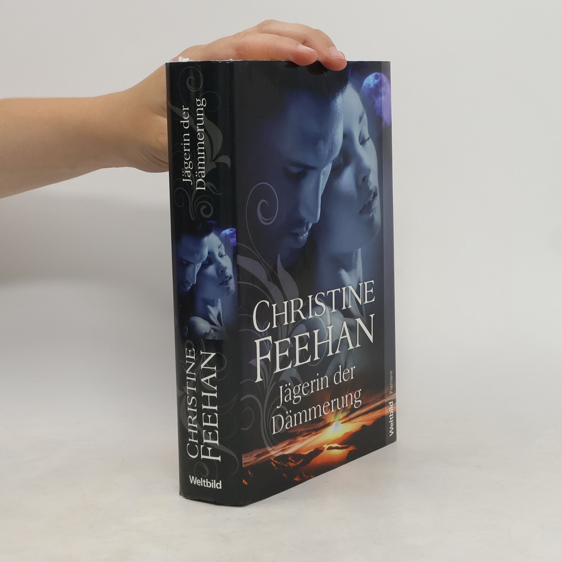 Christine Feehan Jägerin der Dämmerung