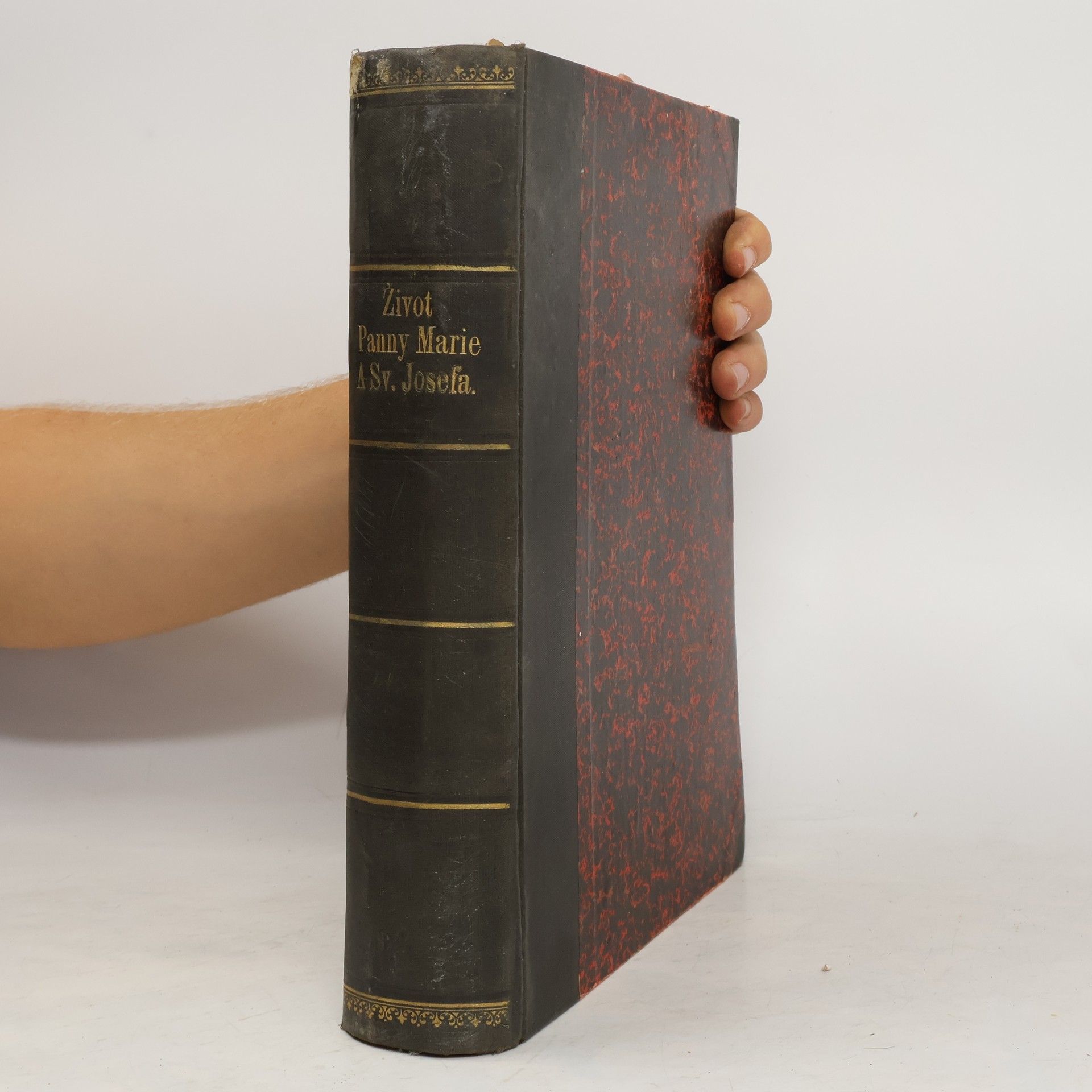 Kolektív autorov Život Panny Marie a Sv. Josefa