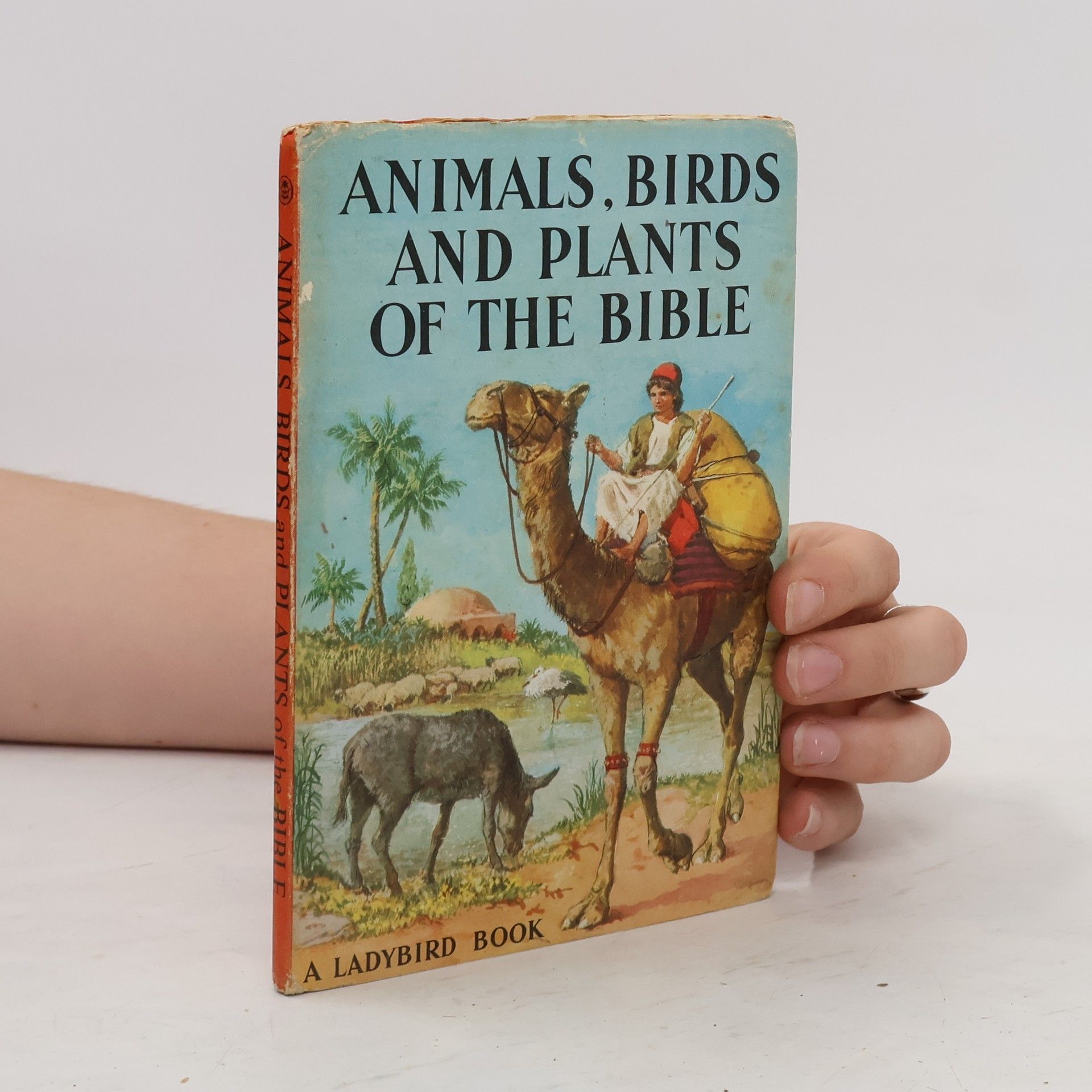 kolektiv Animals, Birds, and Plants of the Bible