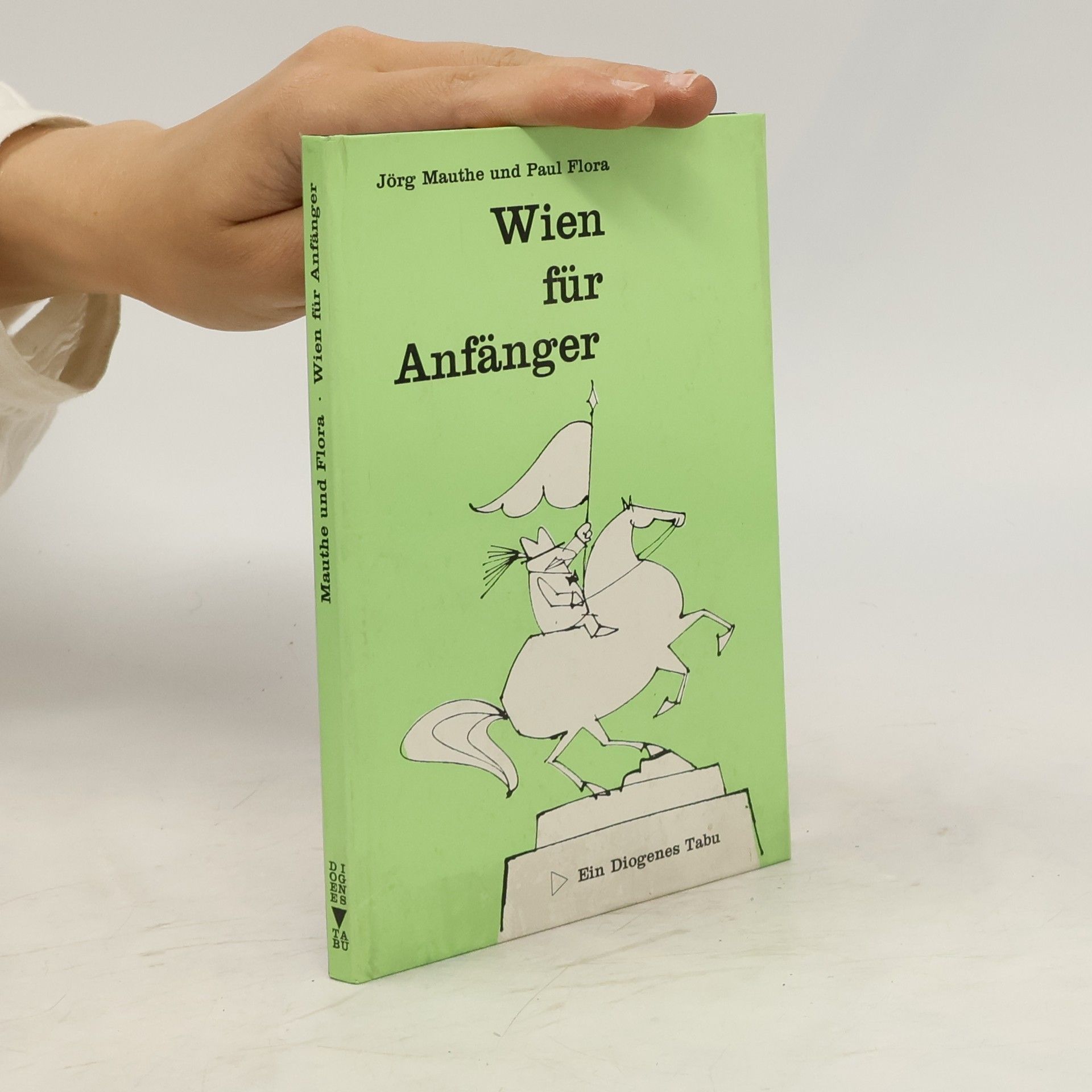 Jörg Mauthe Wien für Anfänger