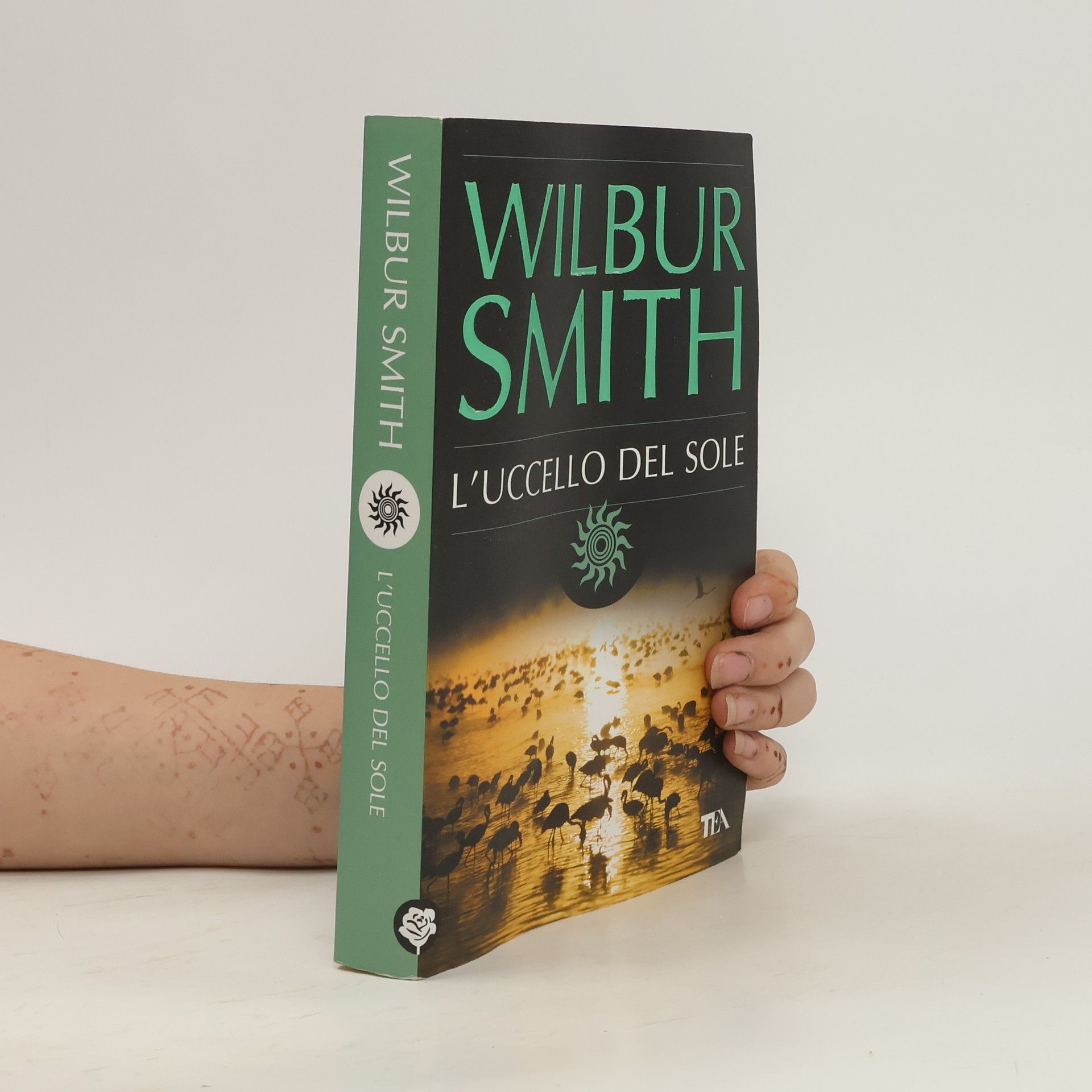 Wilbur Smith L'uccello del sole