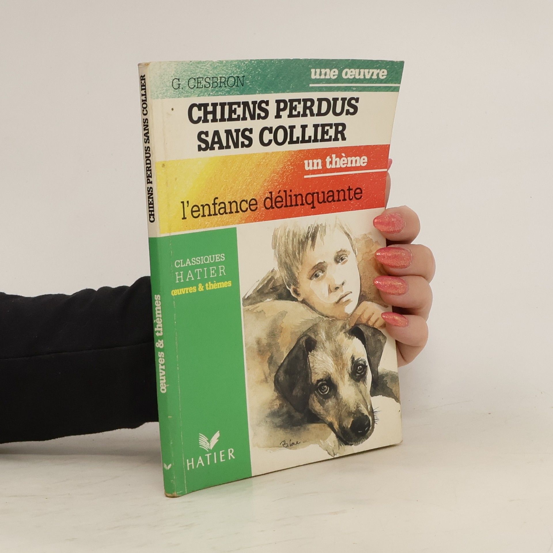 Gilbert Cesbron Chiens perdus sans collier