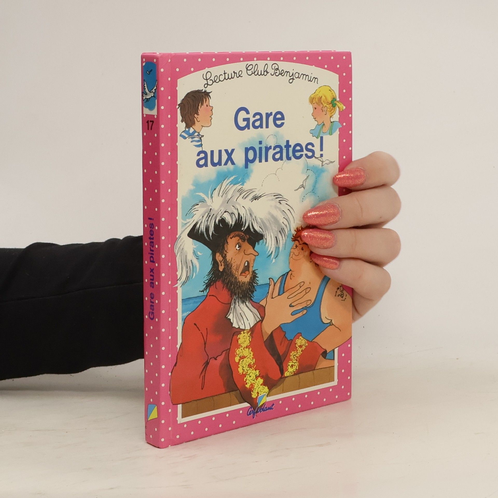Ann Rocard Gare aux pirates!