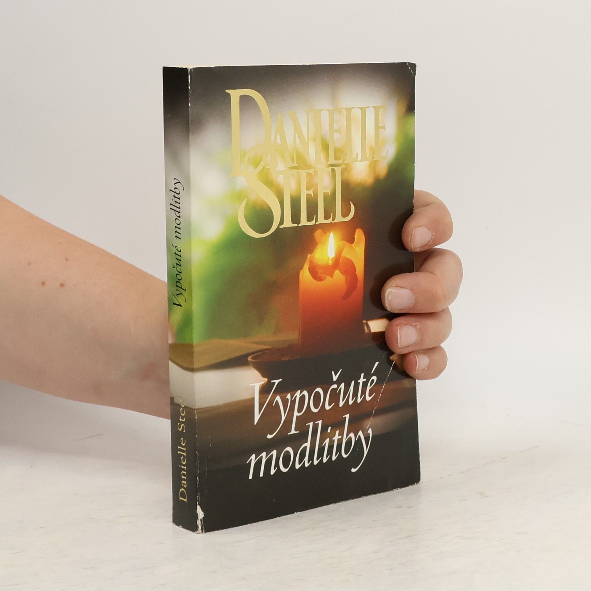 Danielle Steelová Vypočuté modlitby