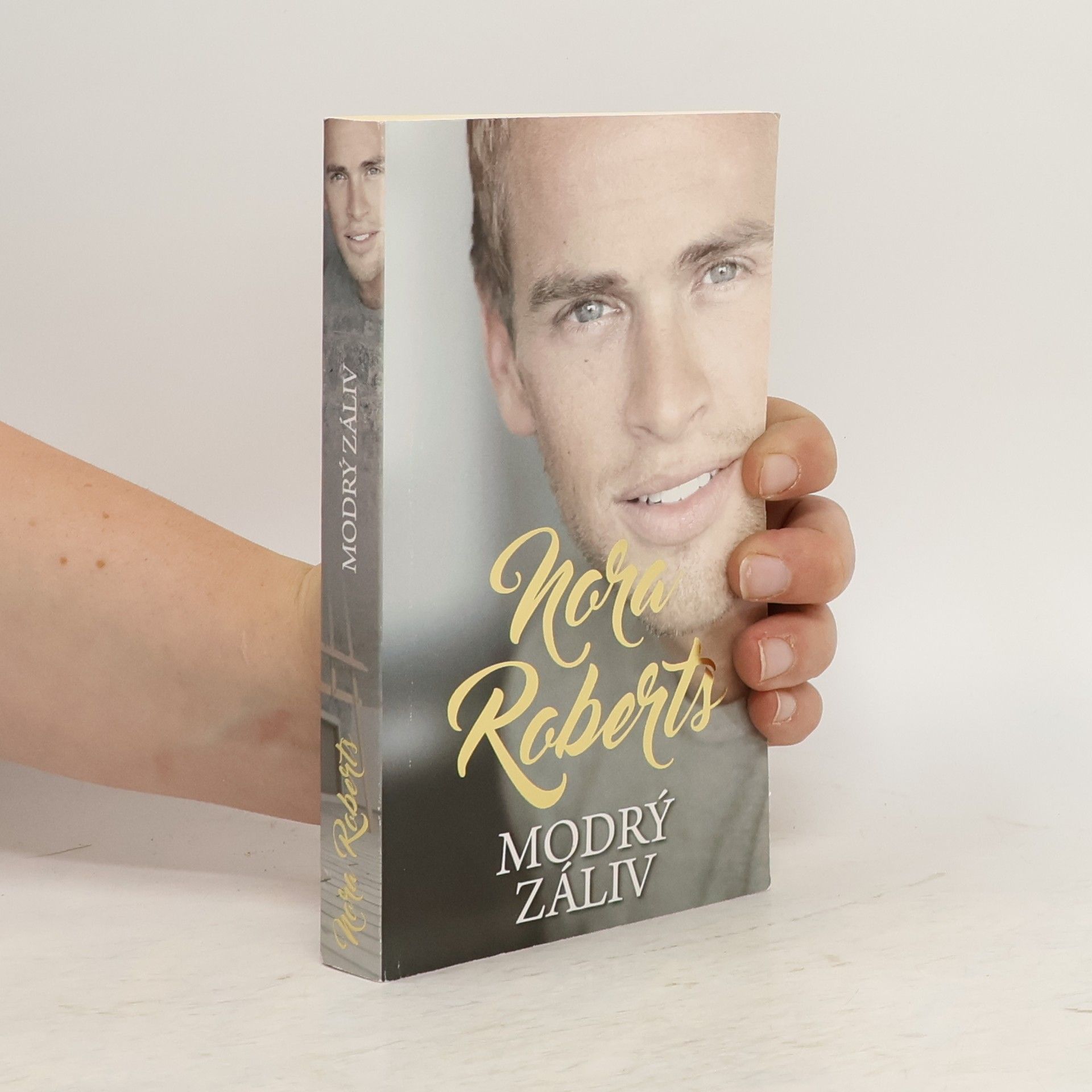 Nora Roberts Modrý záliv
