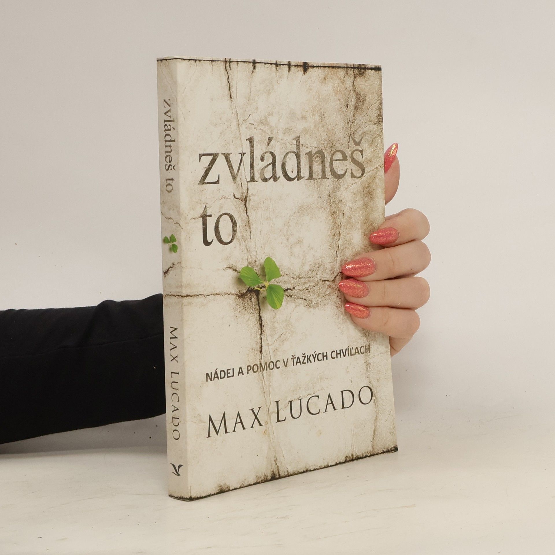 Max Lucado Zvládneš to
