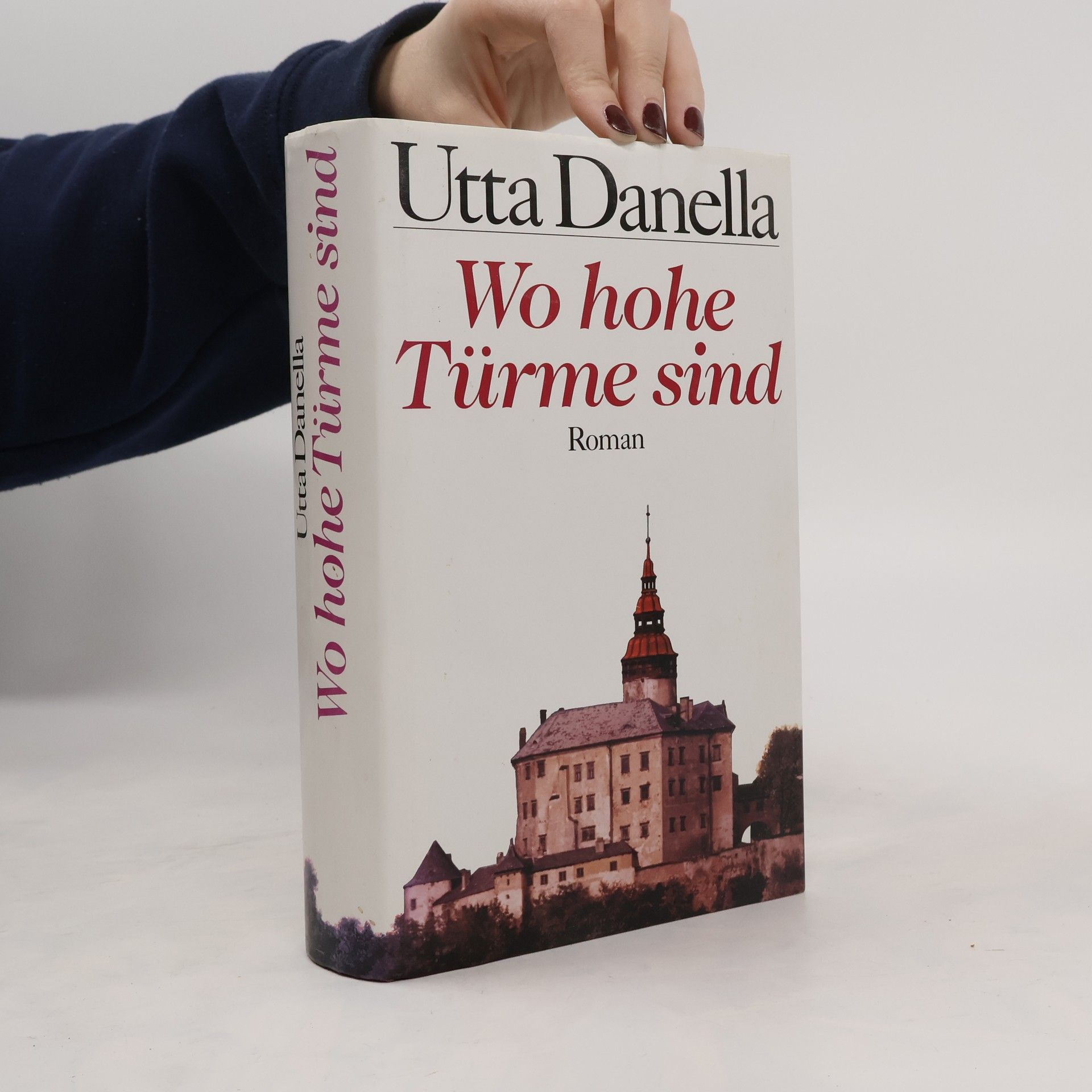 Utta Danella Wo hohe Türme sind
