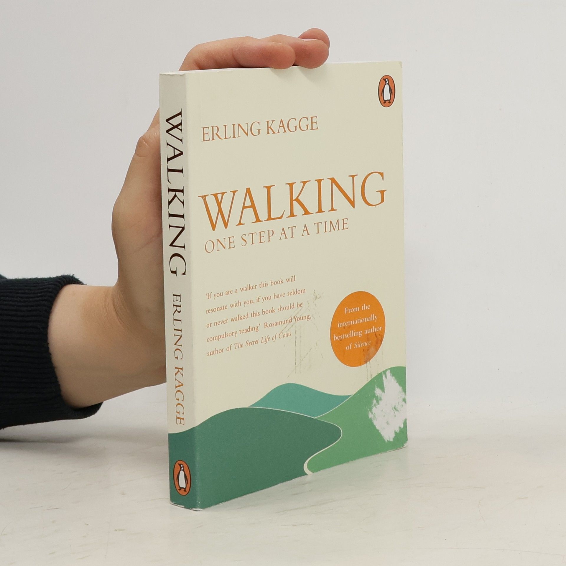 Erling Kagge Walking : one step at a time