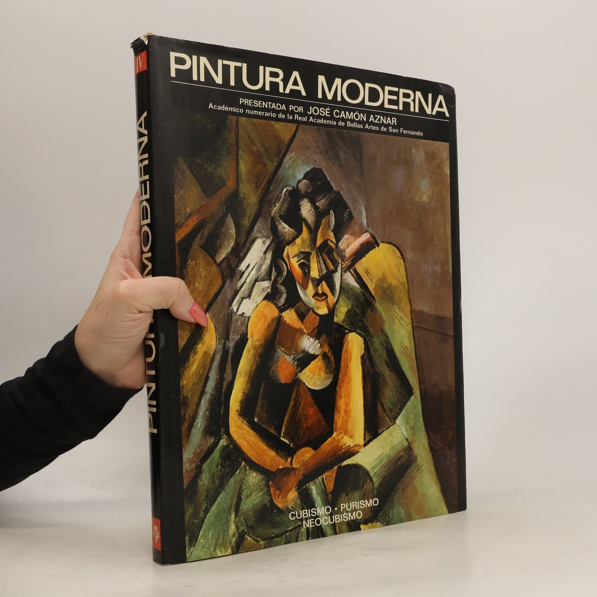 Jaume Barnat Pintura moderna en seis volúmenes