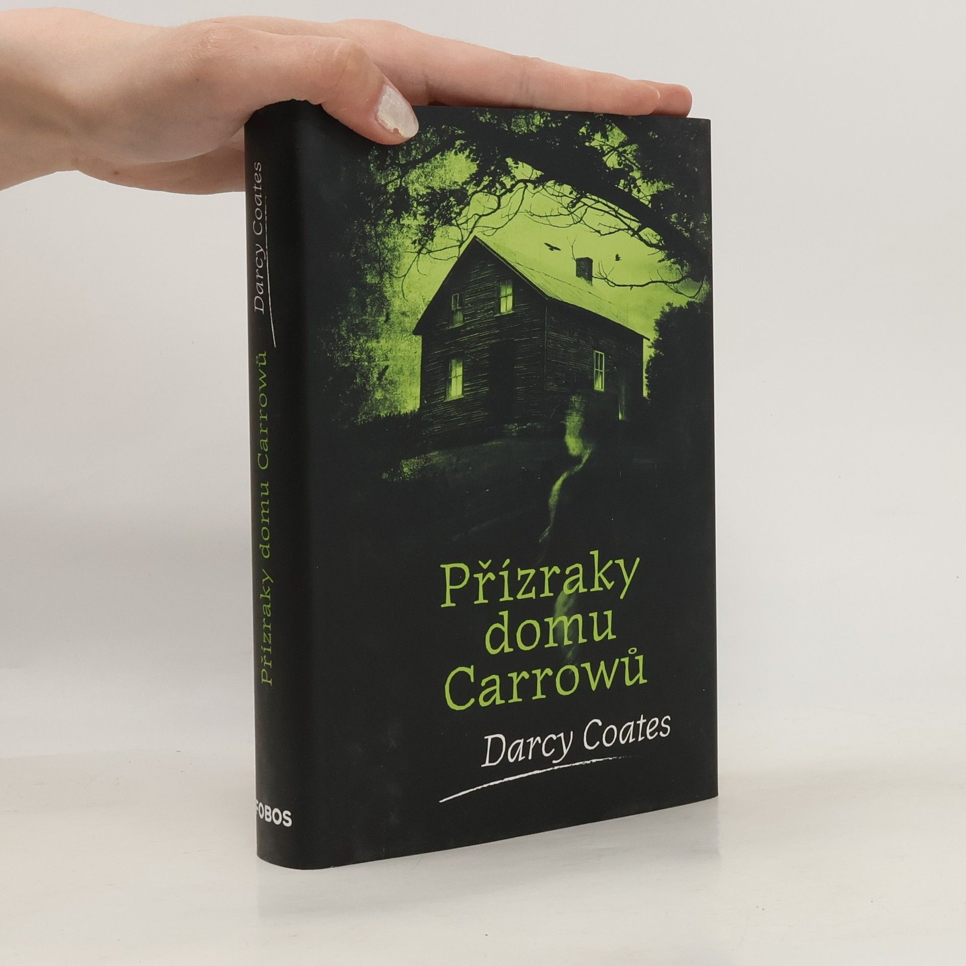 Darcy Coates Přízraky domu Carrowů