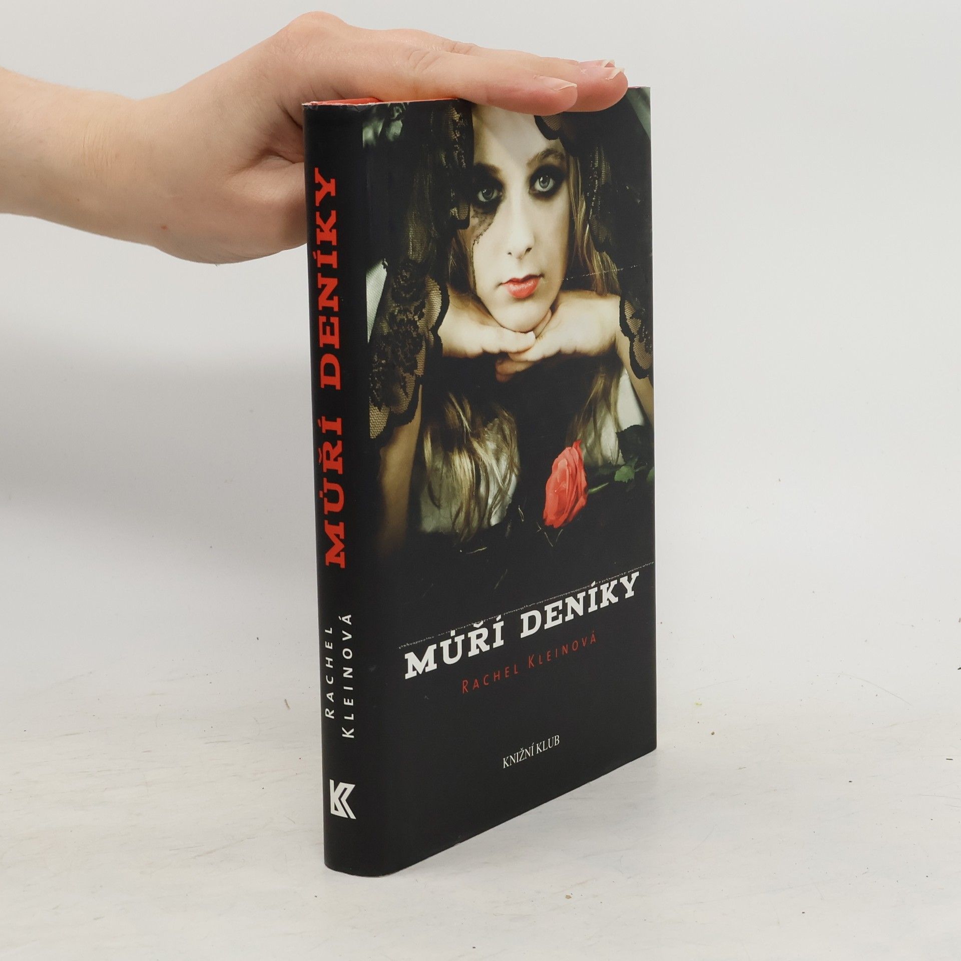 Rachel Klein Můří deníky