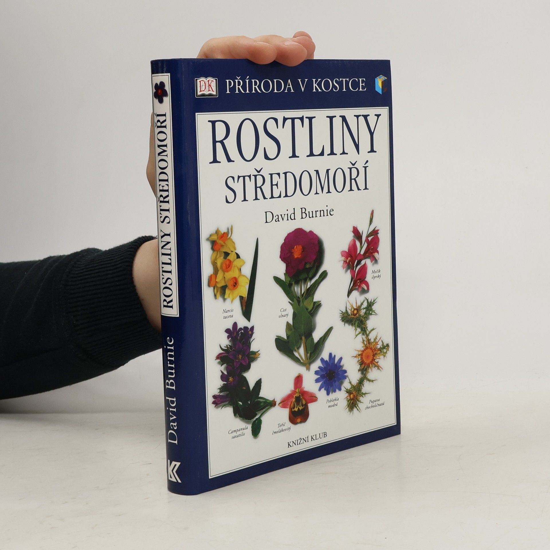 David Burnie Rostliny Středomoří