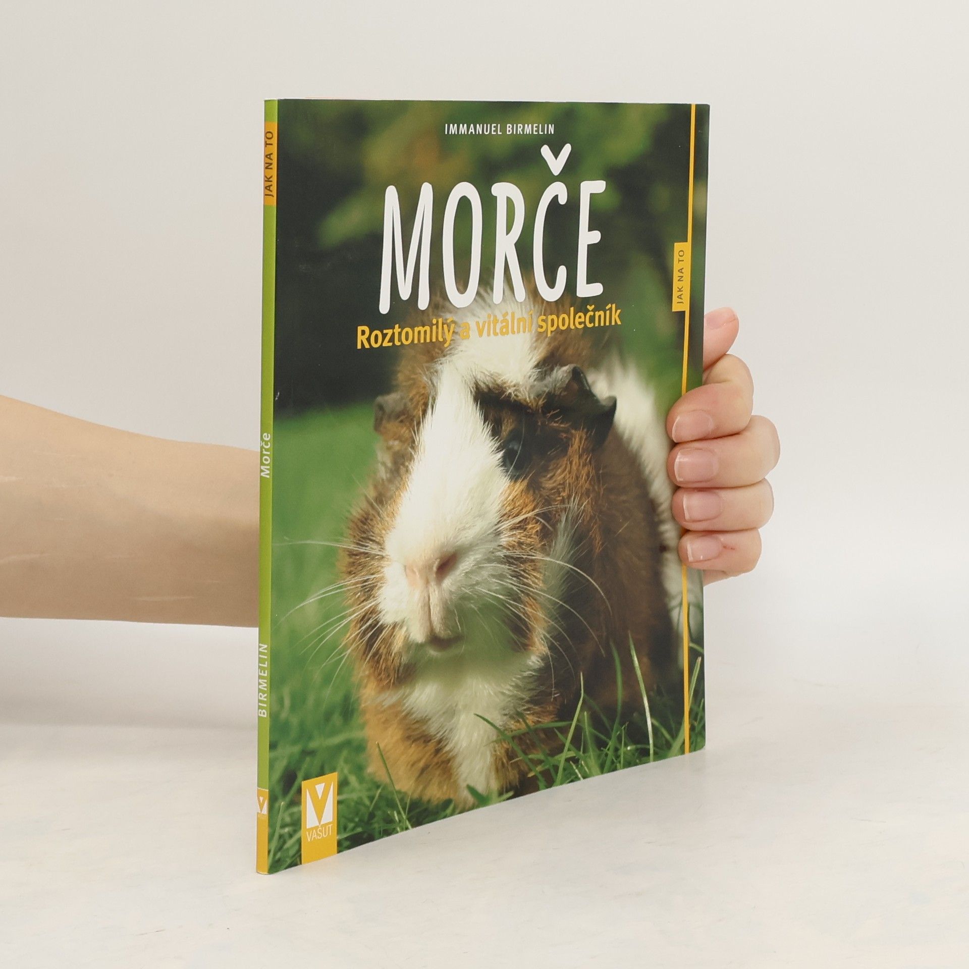 Immanuel Birmelin Morče. Roztomilý a vitální společník