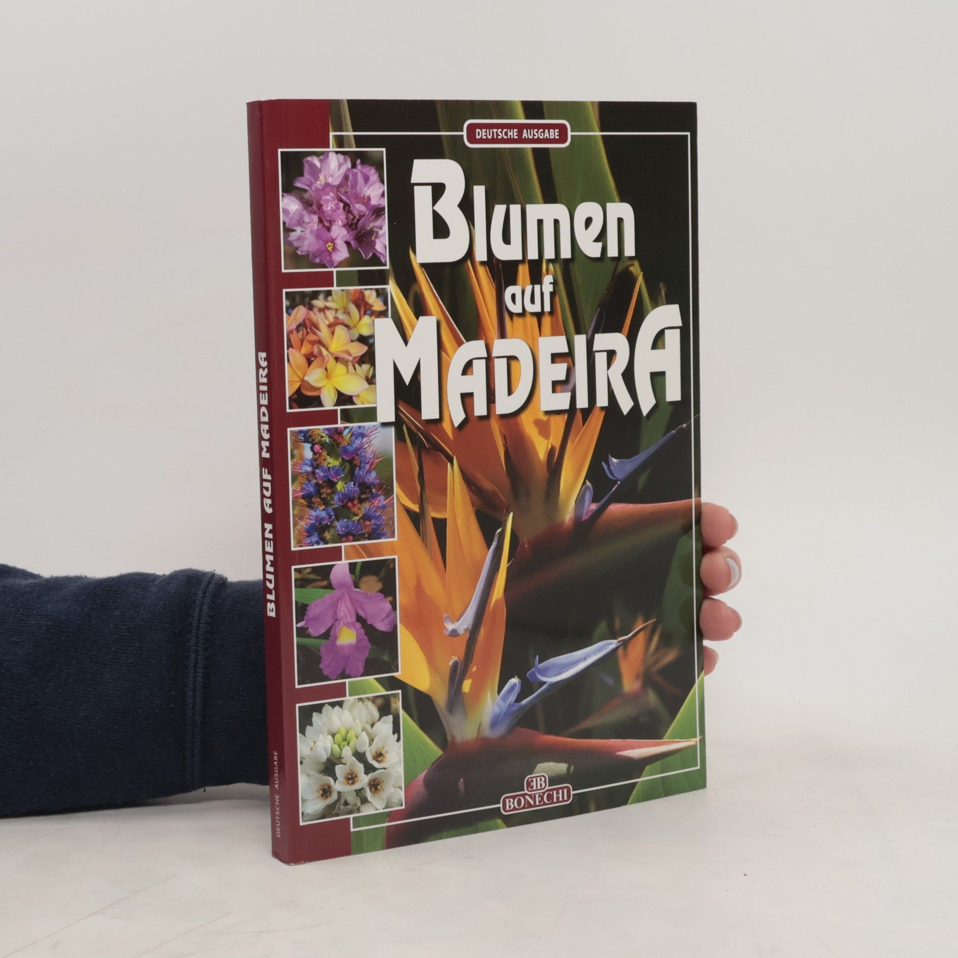 Andrea Innocenti Blumen auf Madeira