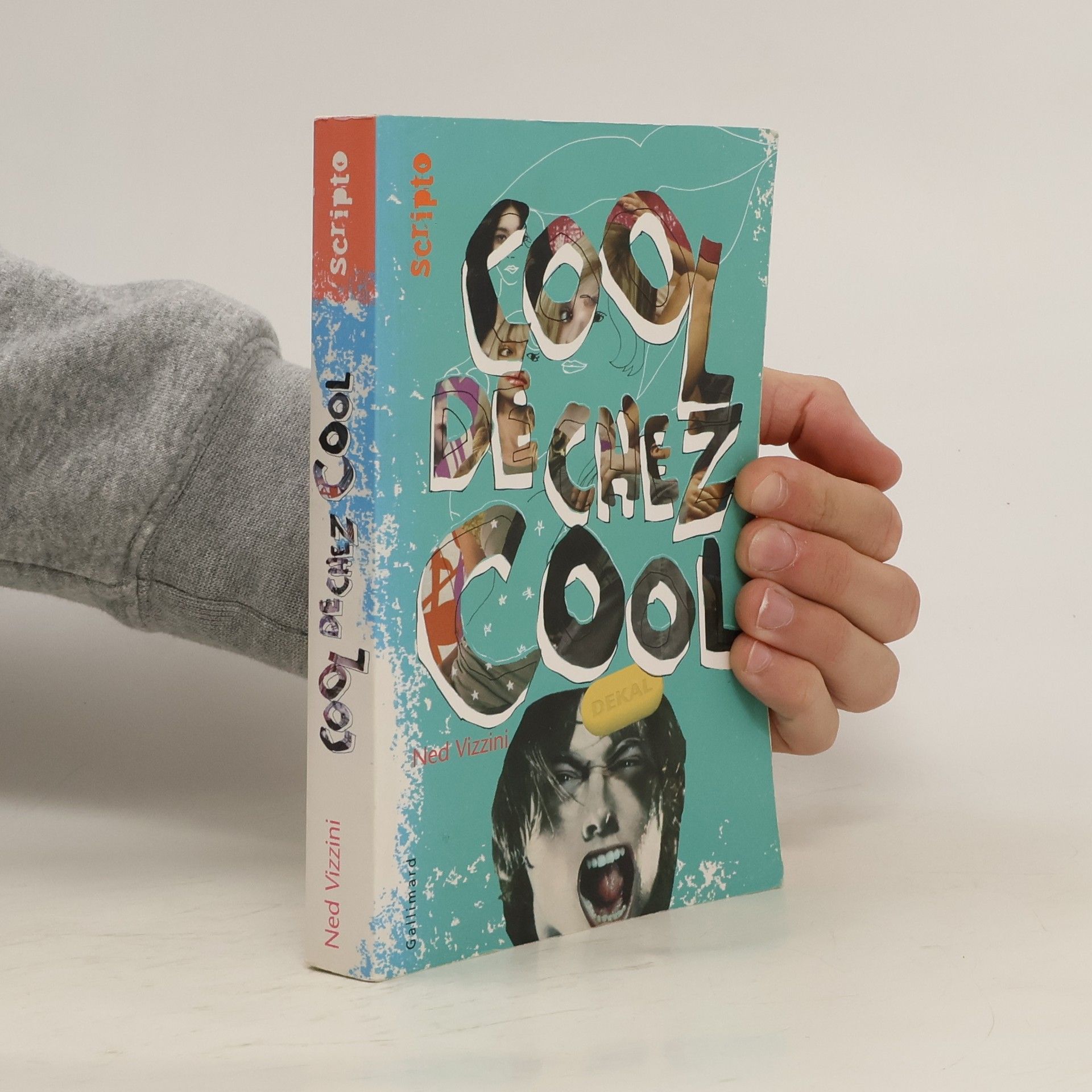 Ned Vizzini Cool de chez cool