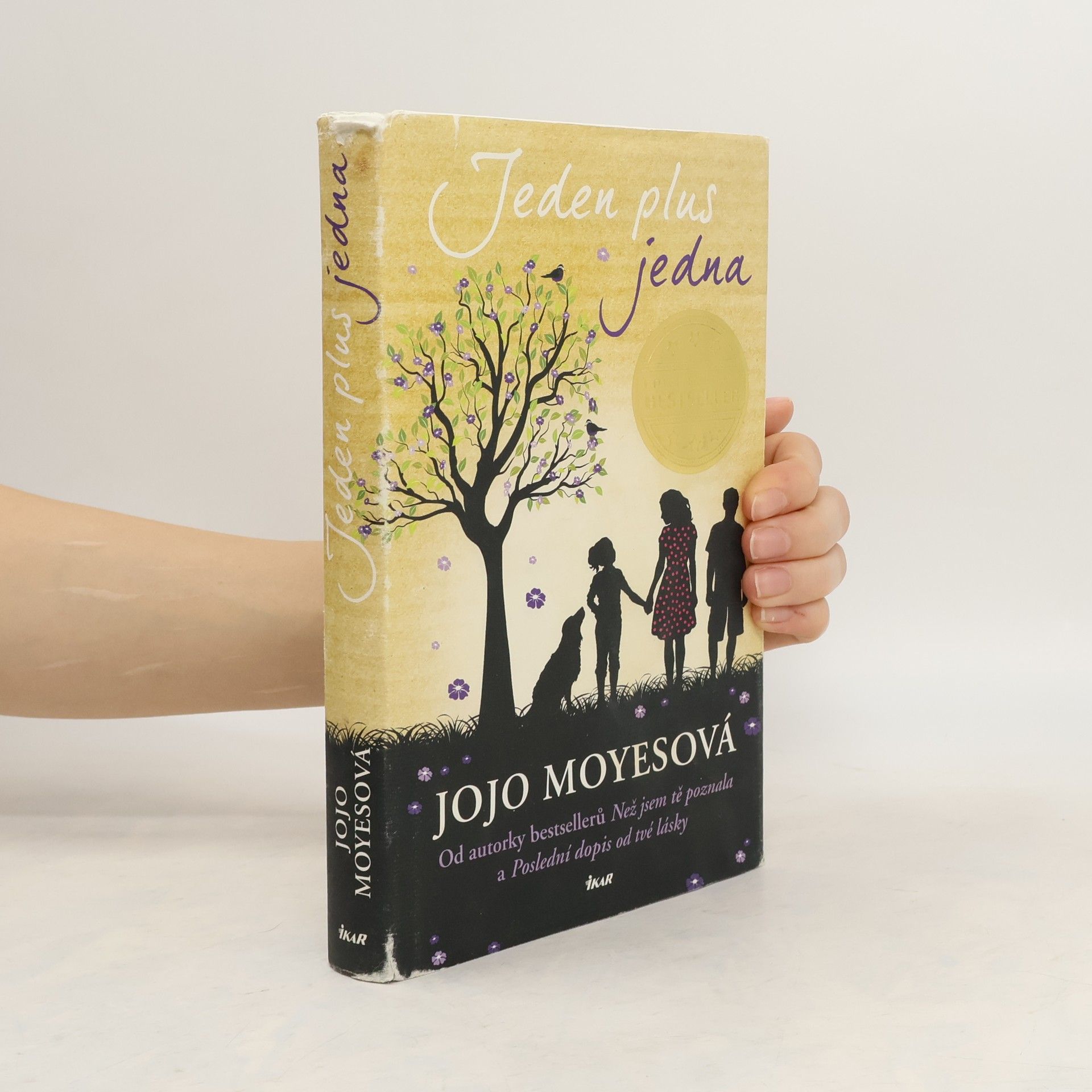 Jojo Moyes Jeden plus jedna