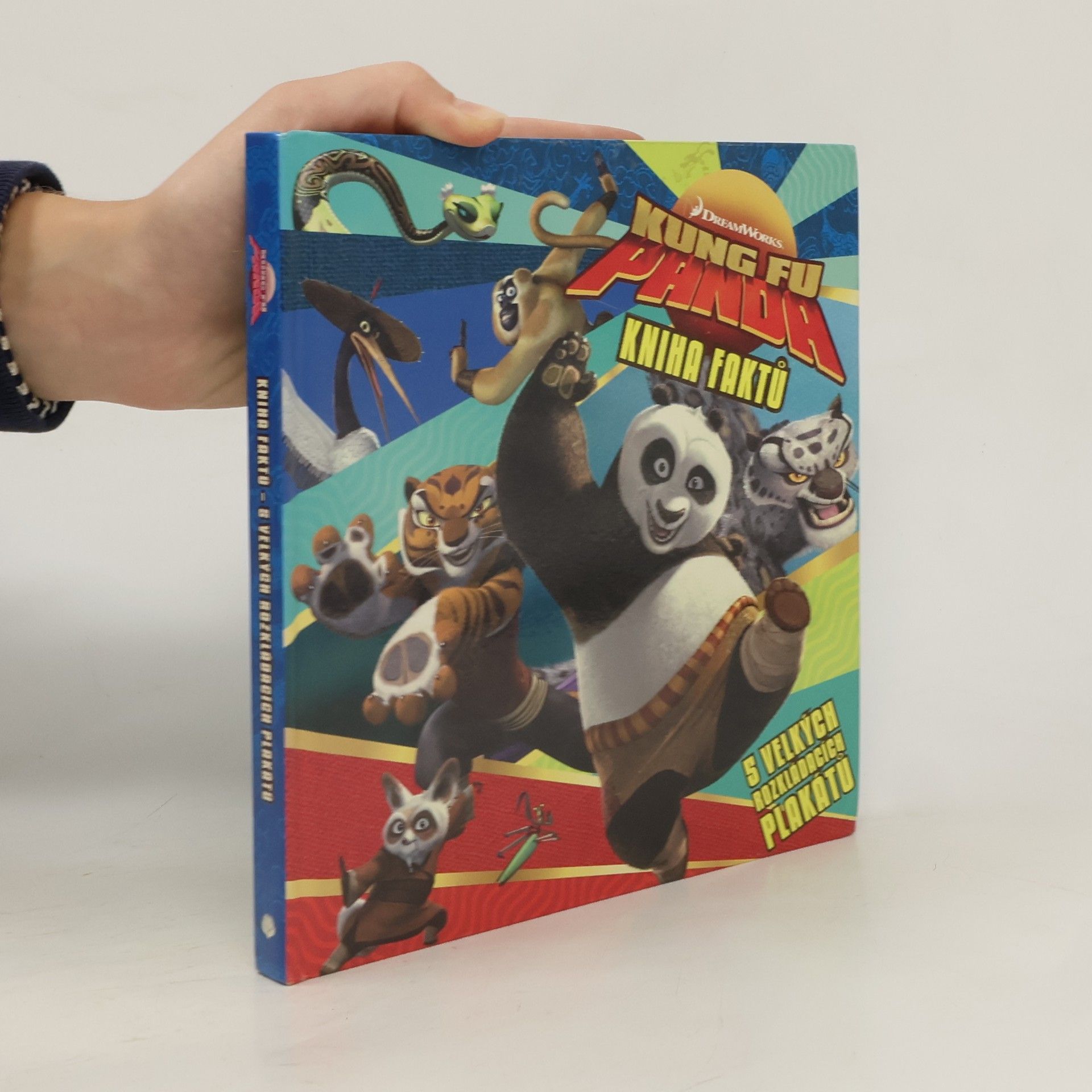 Dagmar Brejlová Kung Fu Panda : kniha faktů