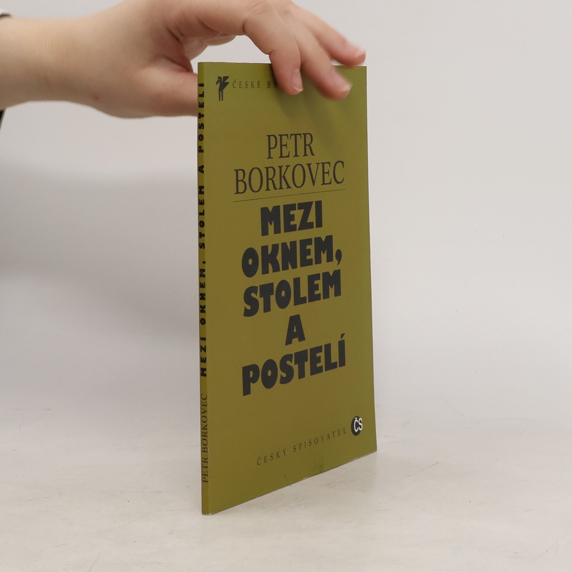 Petr Borkovec Mezi oknem, stolem a postelí