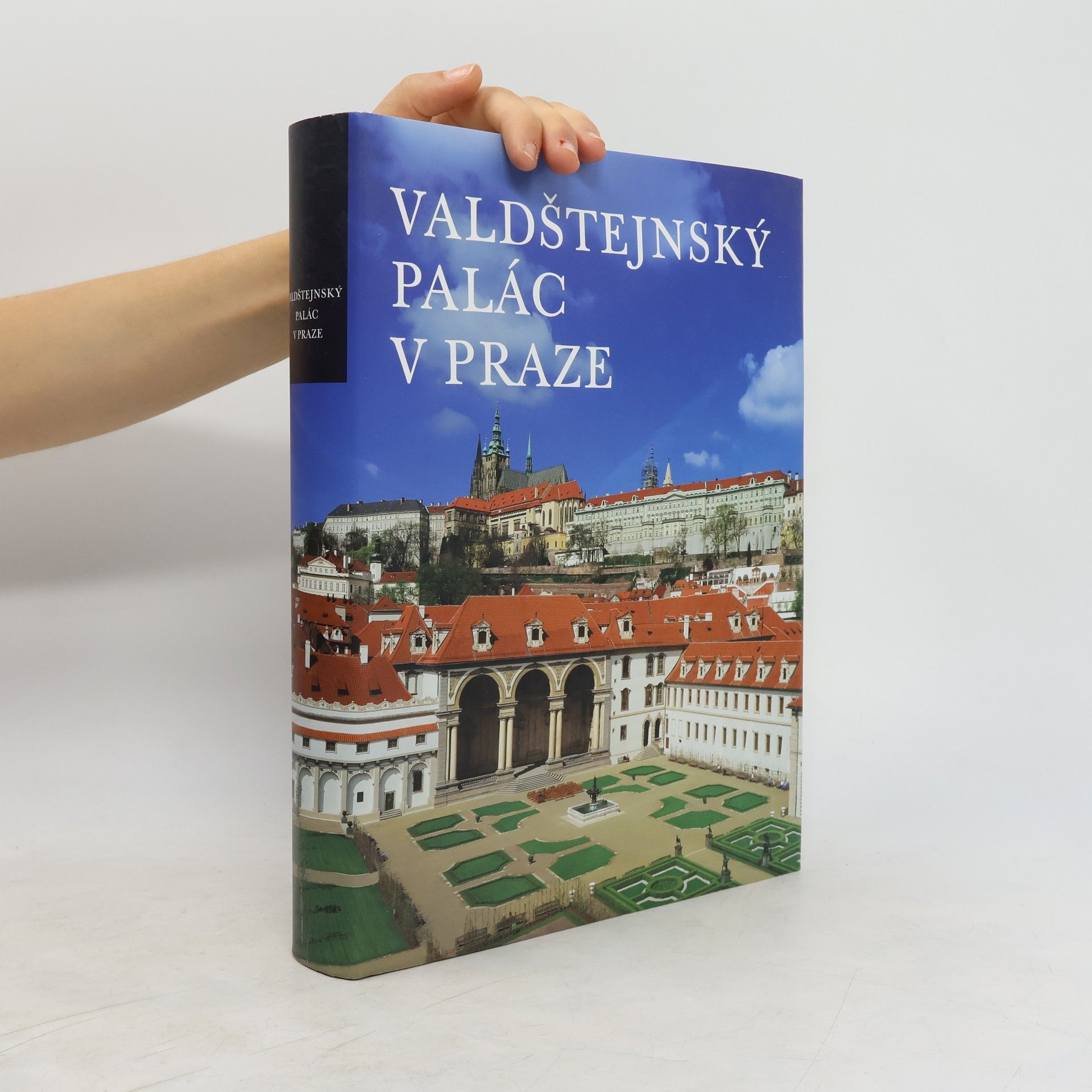 Mojmír Horyna Valdštejnský palác v Praze