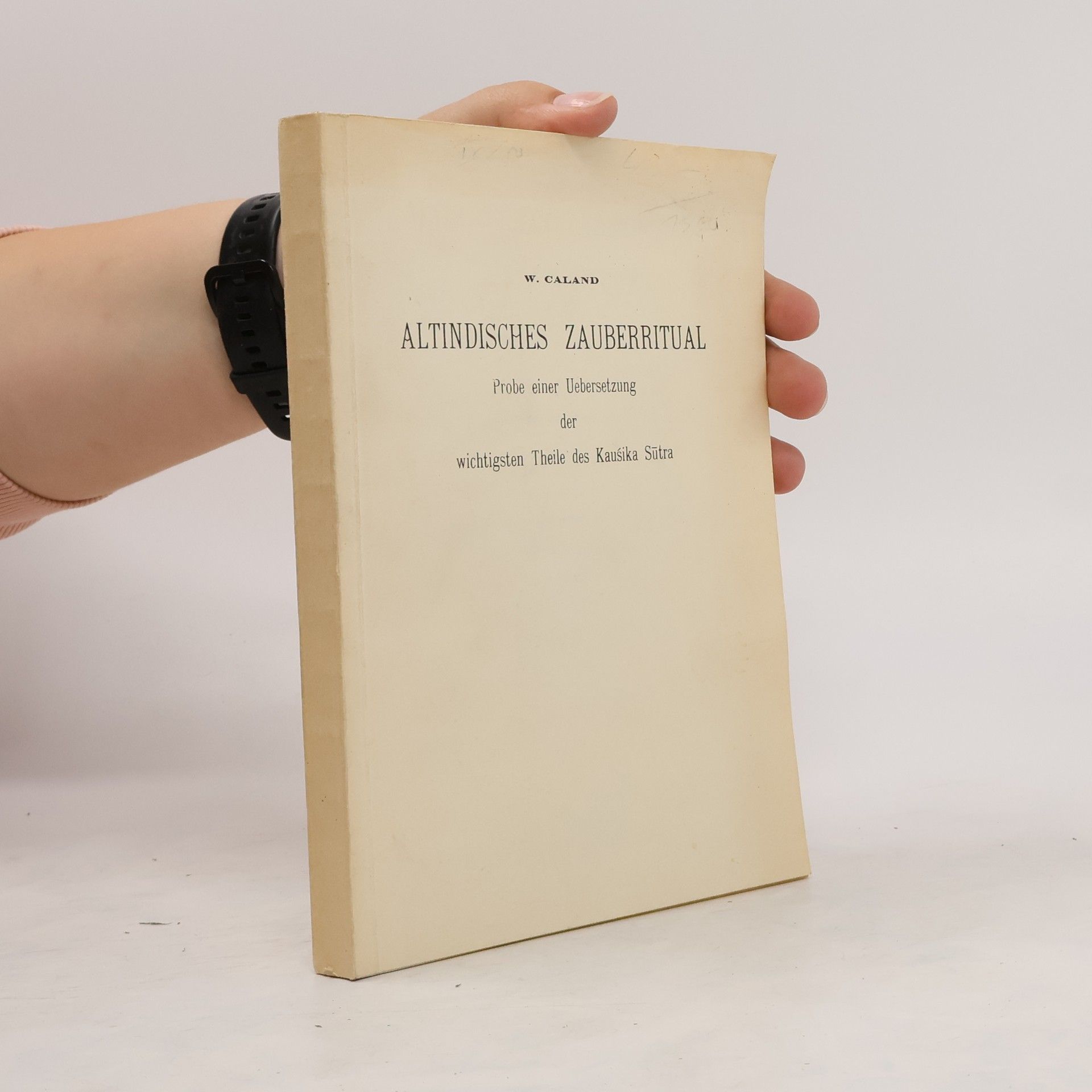 Willem Caland Altindisches Zauberritual