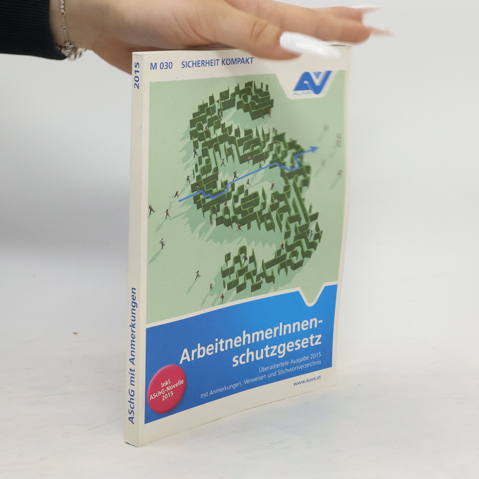Joe Püringer Arbeitnehmerinnenschutzgesetz