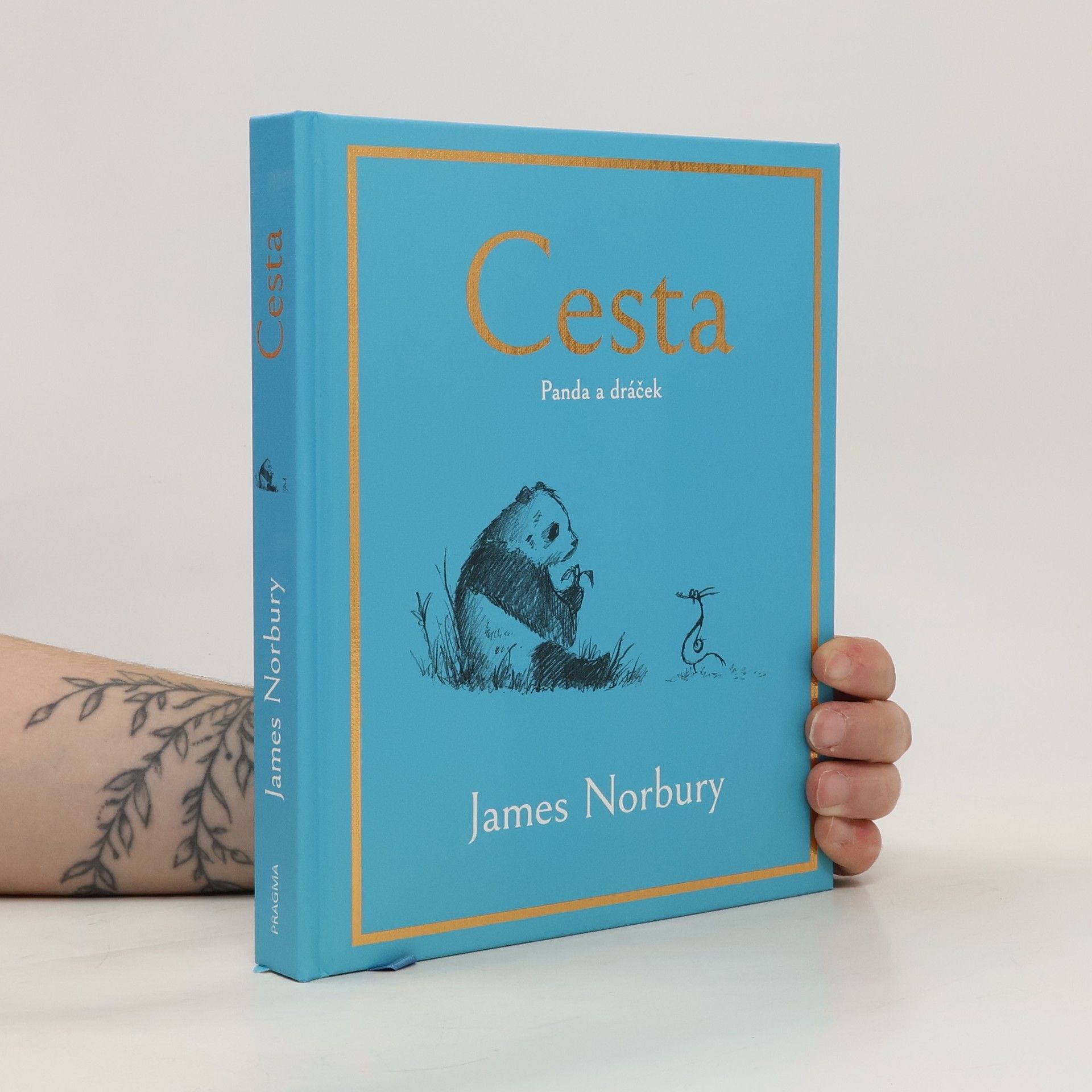 James Norbury Cesta. Panda a dráček