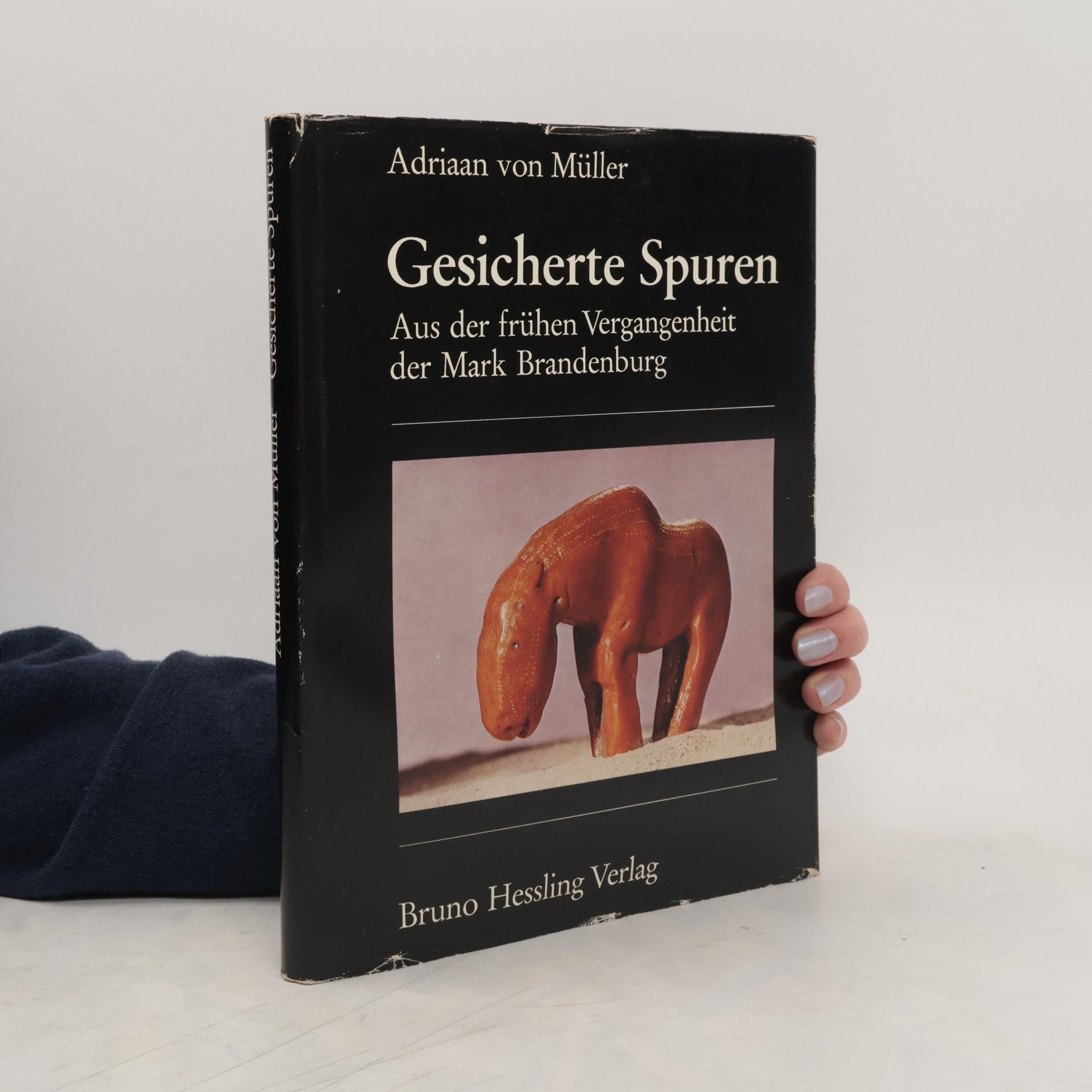 Adriaan von Müller Gesicherte Spuren
